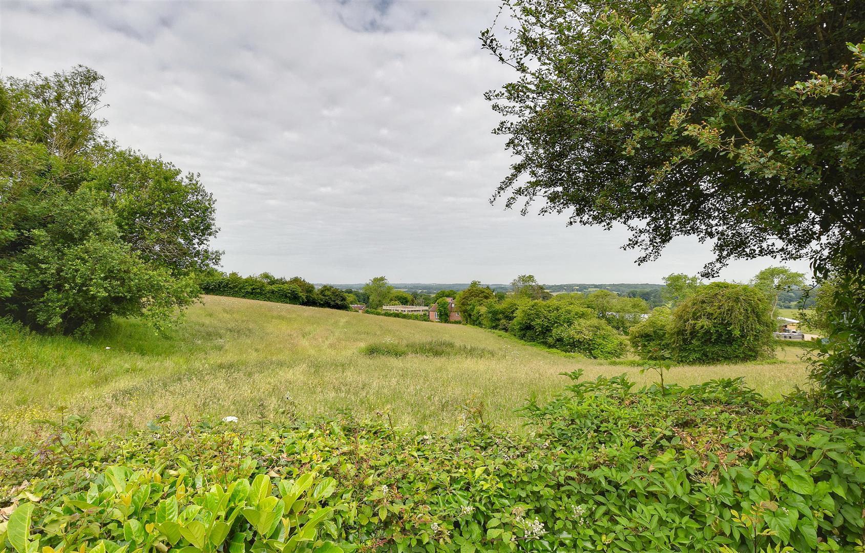Eastwell Meadows, Tenterden, photo 2