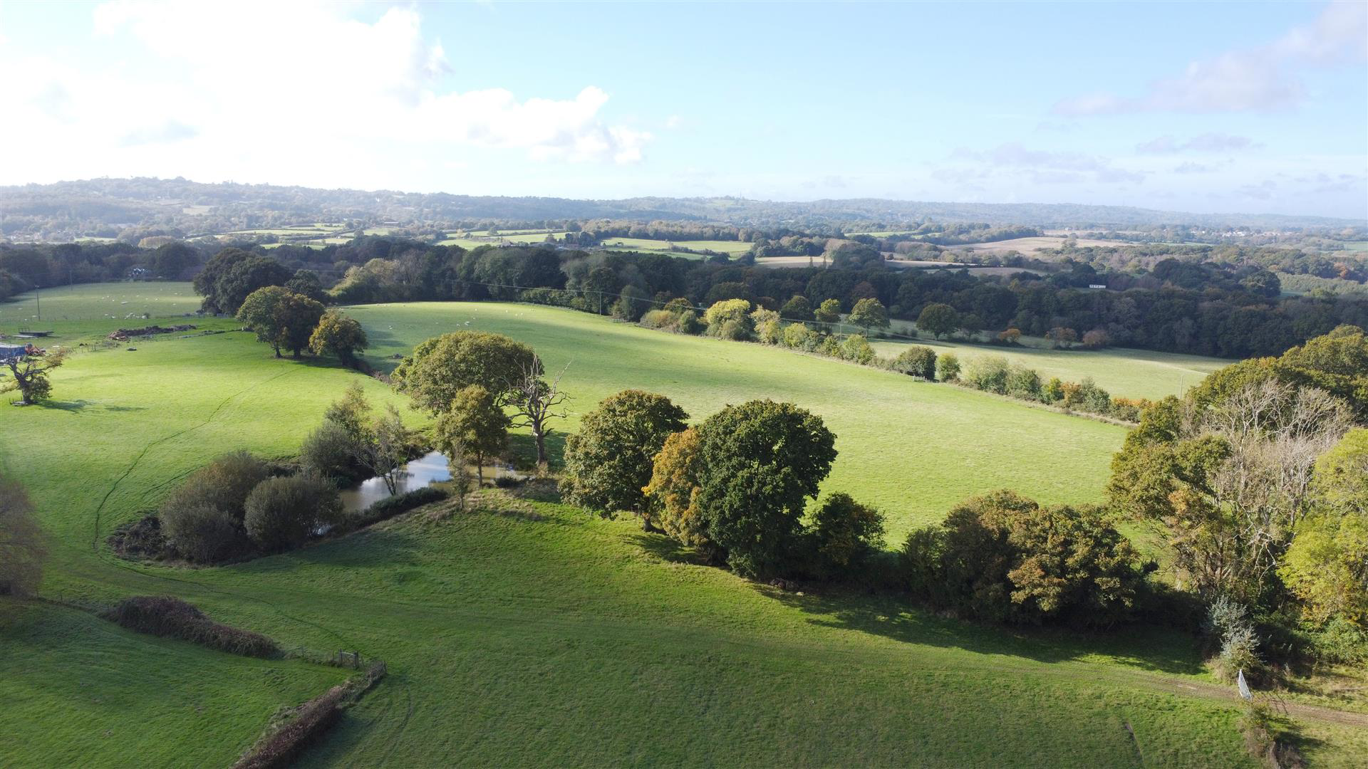 Fourteen Acre Lane, Three Oaks, photo 5