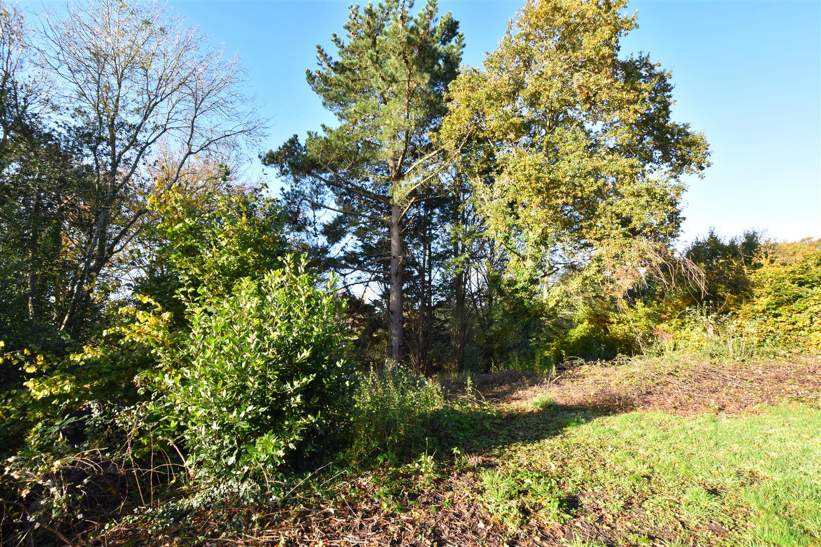 Point Hill, Rye, photo 31