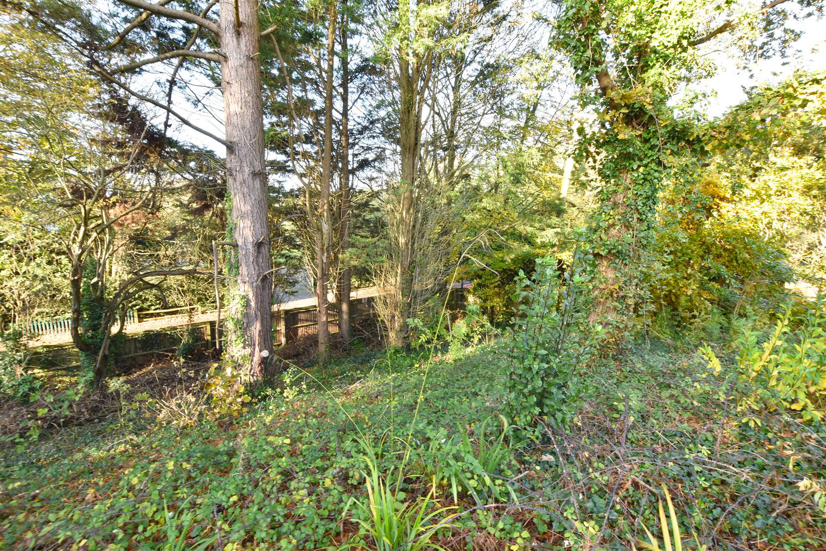 Point Hill, Rye, photo 32