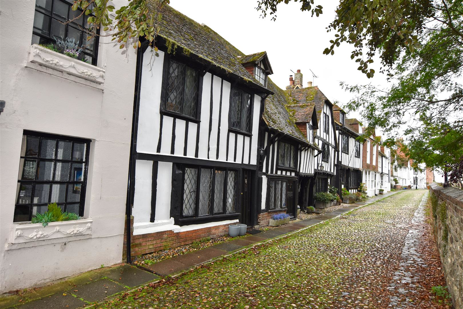 DSC_0567.jpg