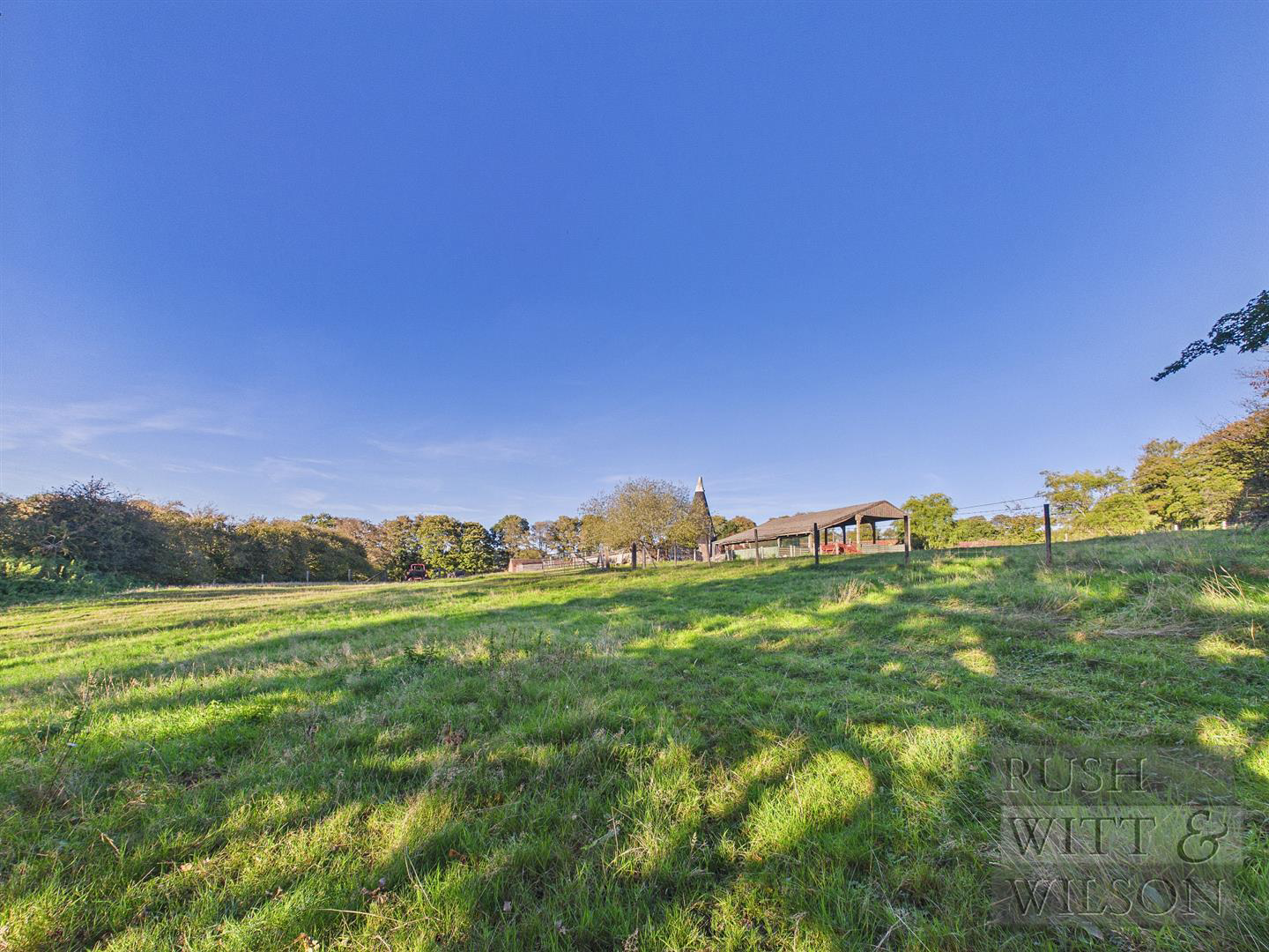 Peppering Eye, Battle, photo 43