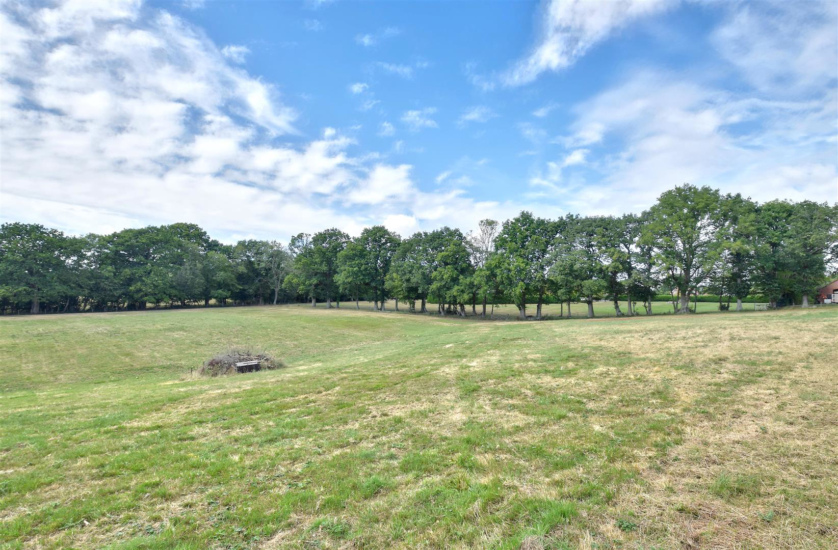 Tenterden Road, Biddenden, photo 5