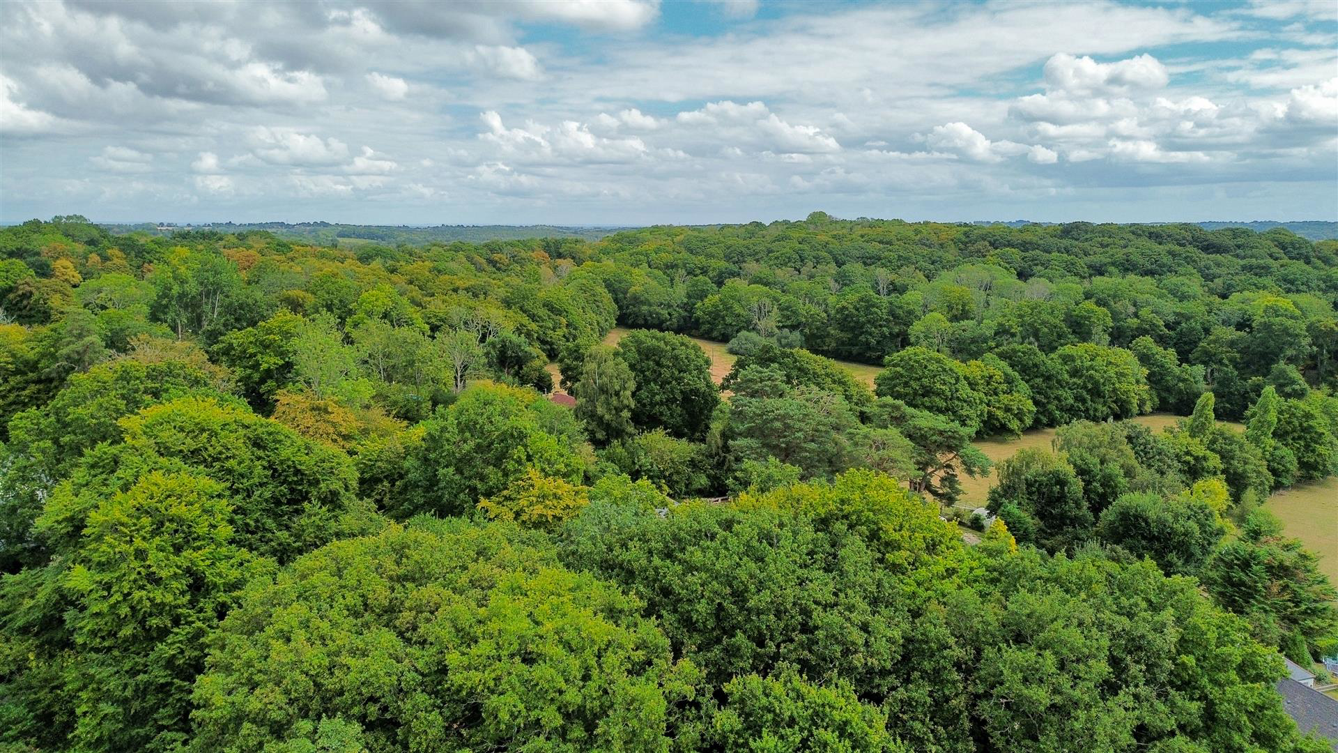 Sandrock Hill, Sedlescombe, photo 41