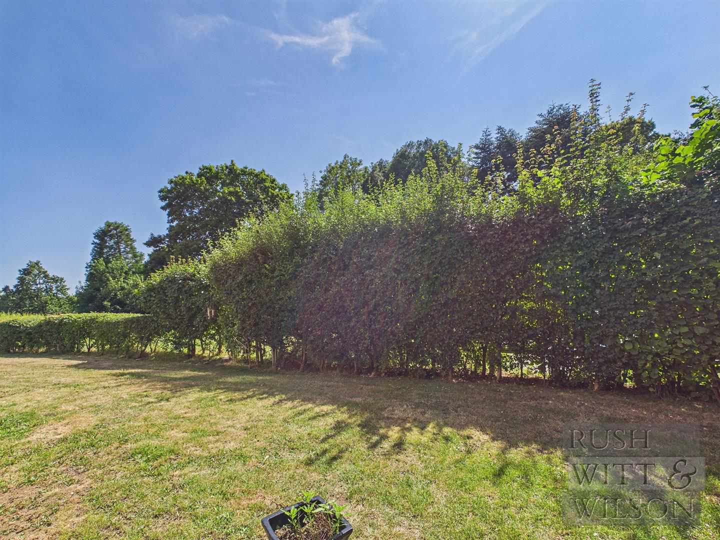 Bradley Drive, Hellingly, Hailsham, photo 18