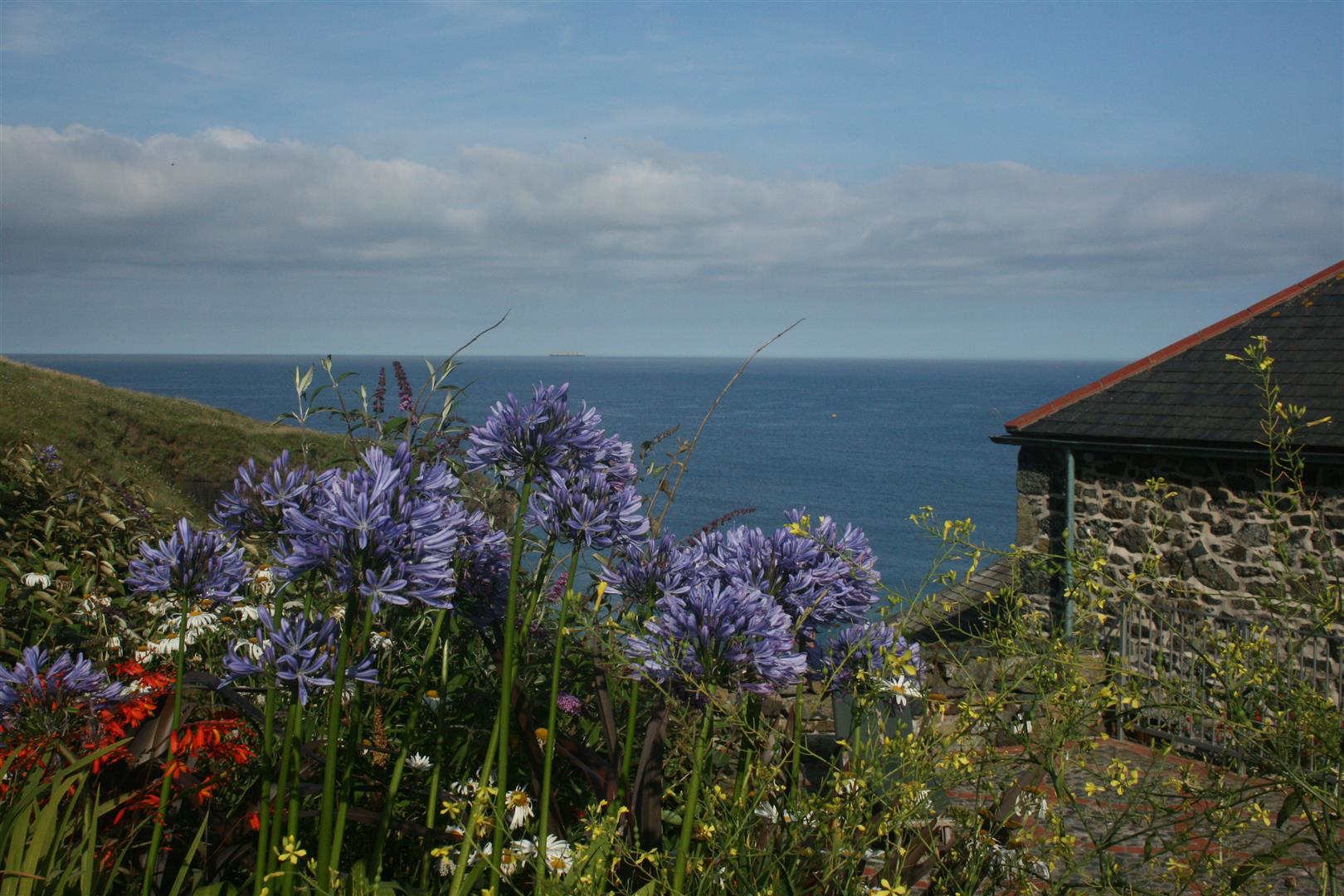 Church Cove | Lizard Peninsula, photo 48
