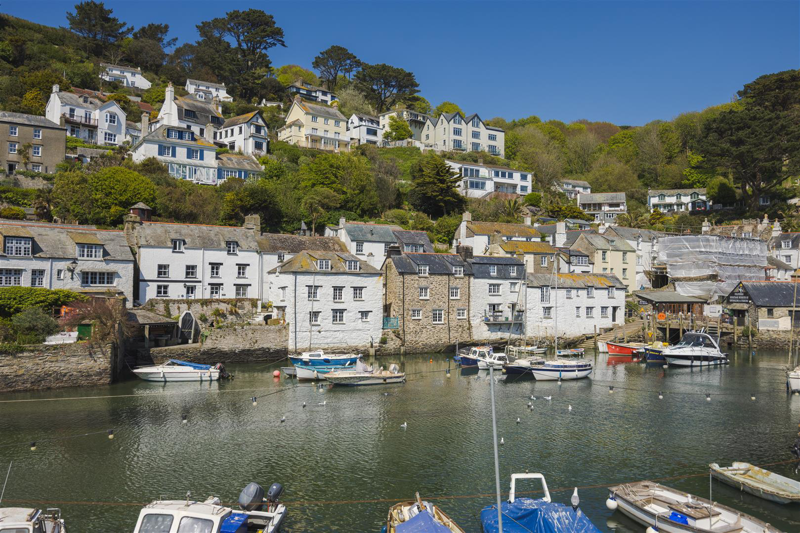 The Warren | Polperro Harbour, photo 40