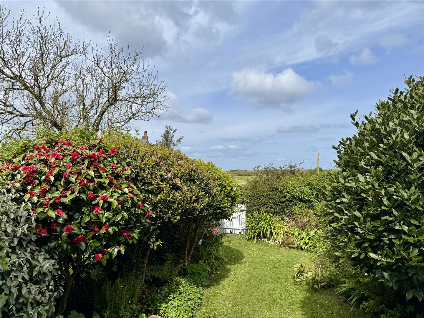 Zennor | West Cornwall, photo 21