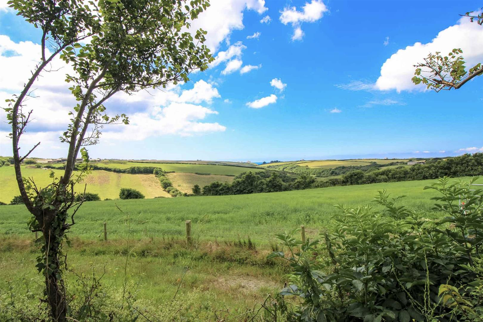Lizard Peninsula | South Cornwall, photo 3