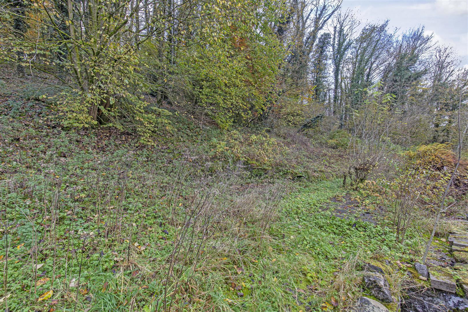 Ashford Road, Bakewell, photo 11