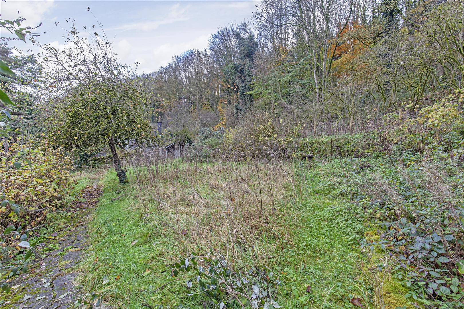 Ashford Road, Bakewell, photo 10