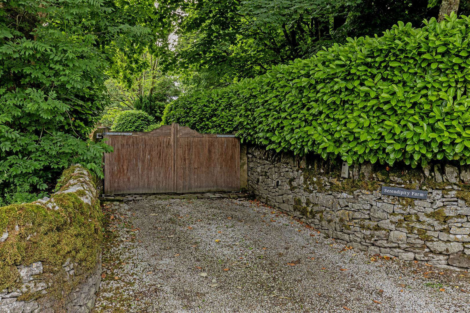 Photo 48