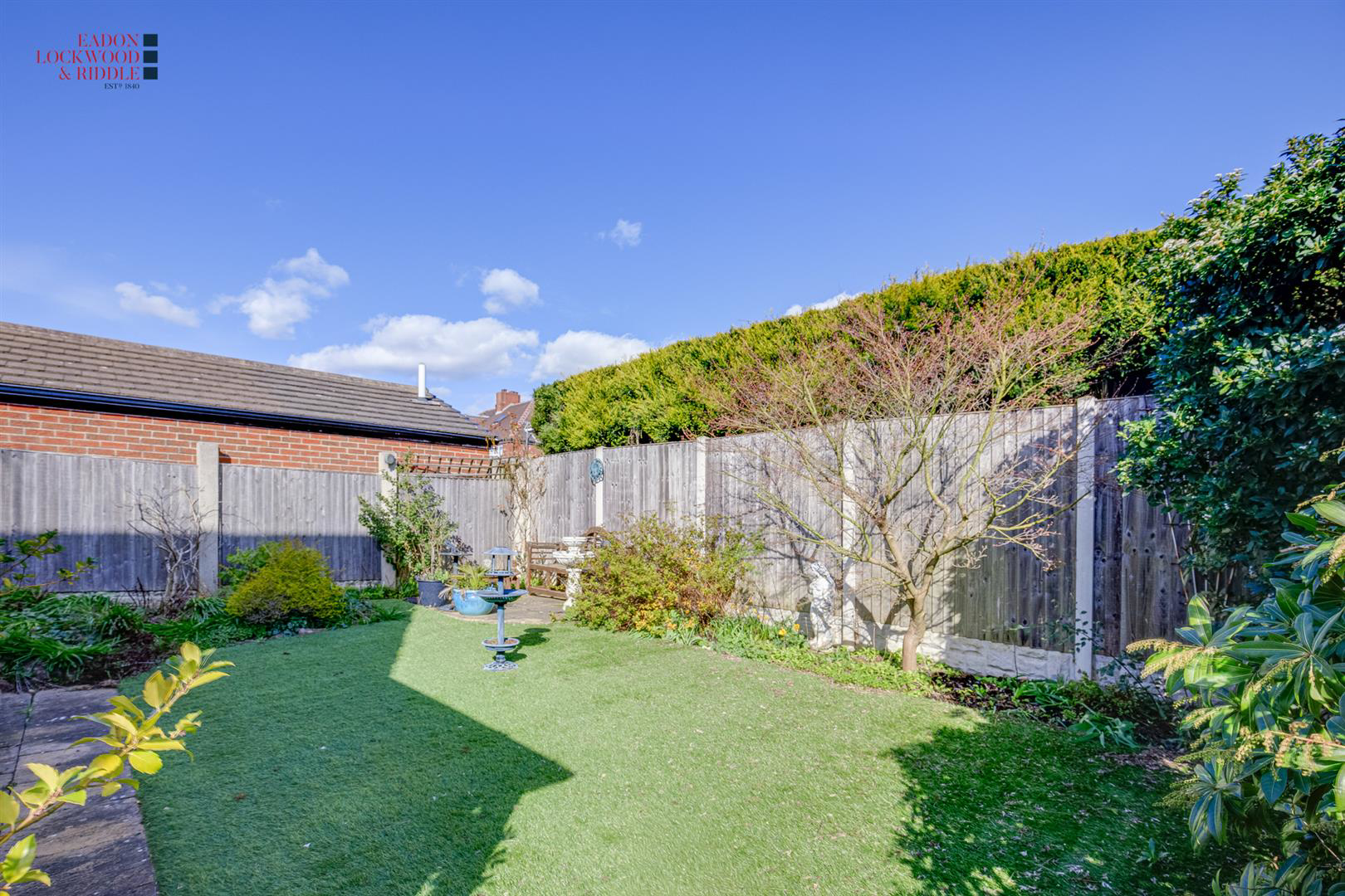 Back garden