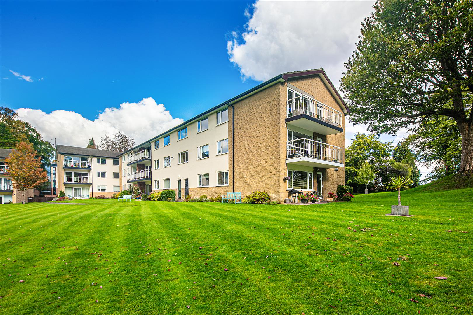 64 The Glen, Endcliffe, S1 3FN, photo 20