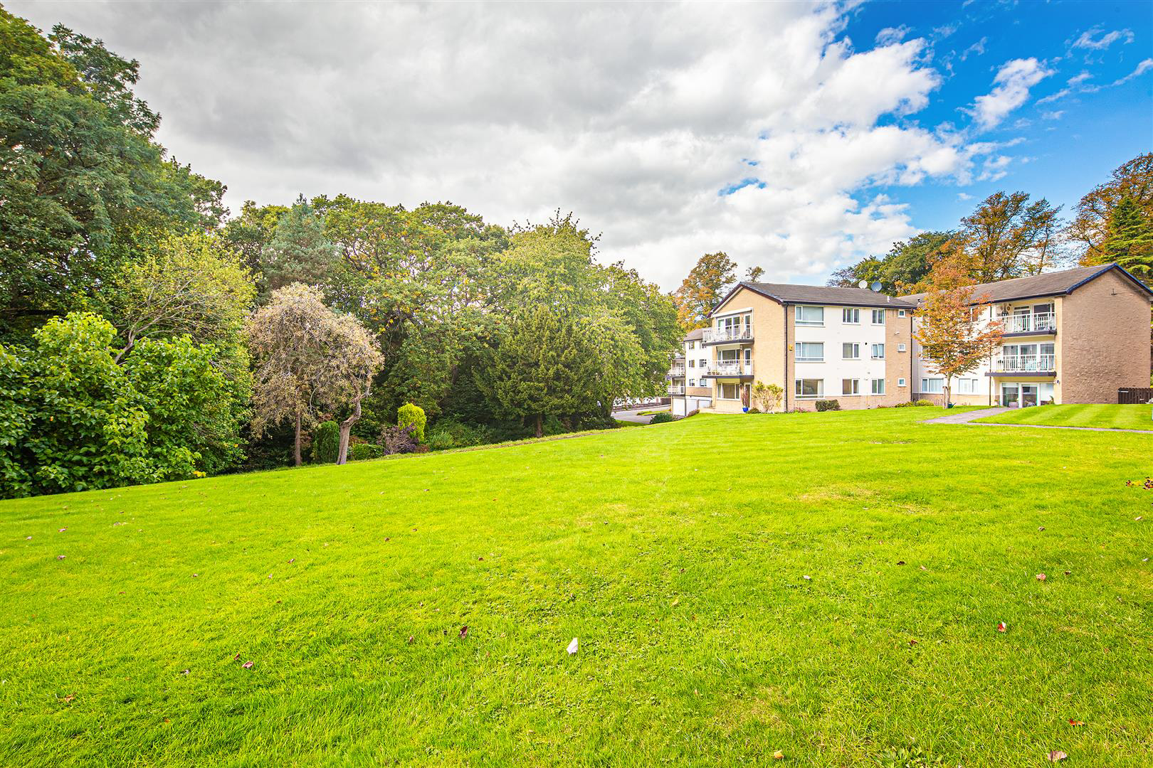 64 The Glen, Endcliffe, S1 3FN, photo 18