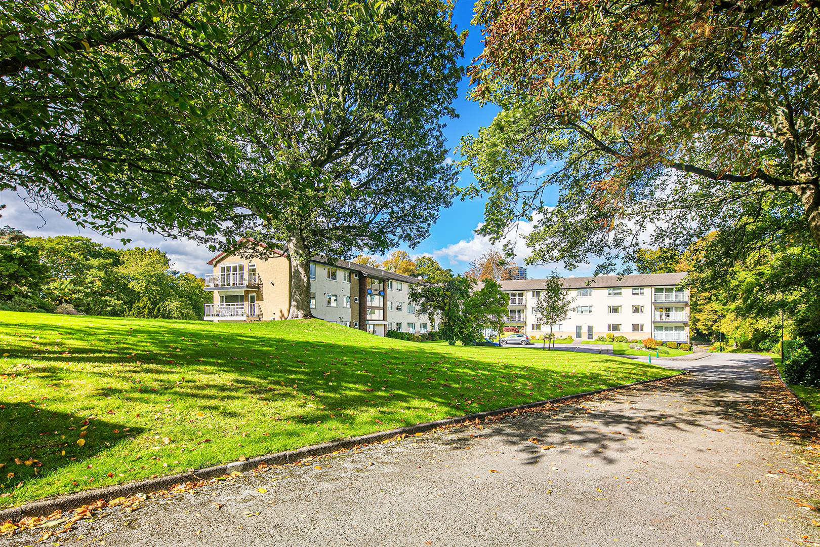64 The Glen, Endcliffe, S1 3FN, photo 17