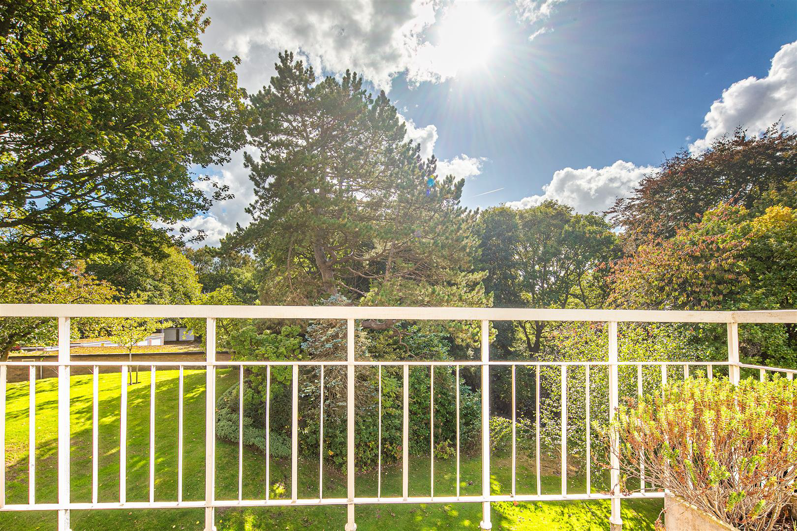64 The Glen, Endcliffe, S1 3FN, photo 10