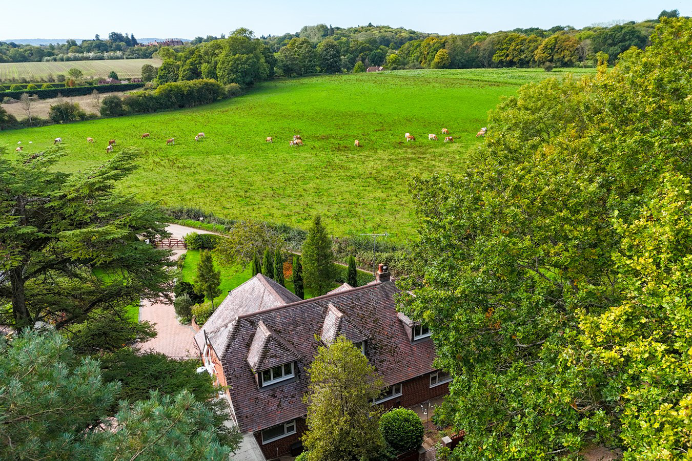 Bunny Lane, Sherfield English, Romsey, SO51, photo 24