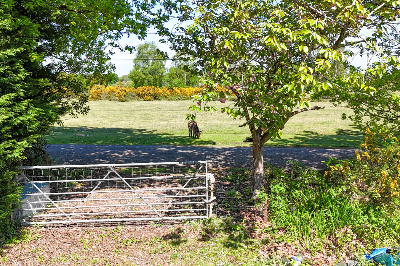 Bramshaw, Lyndhurst, SO43, photo 9