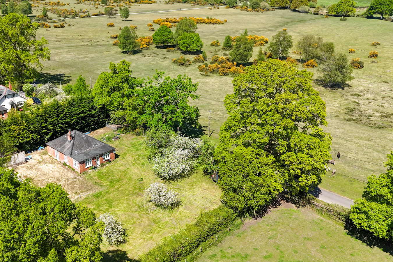 Bramshaw, Lyndhurst, SO43, photo 5
