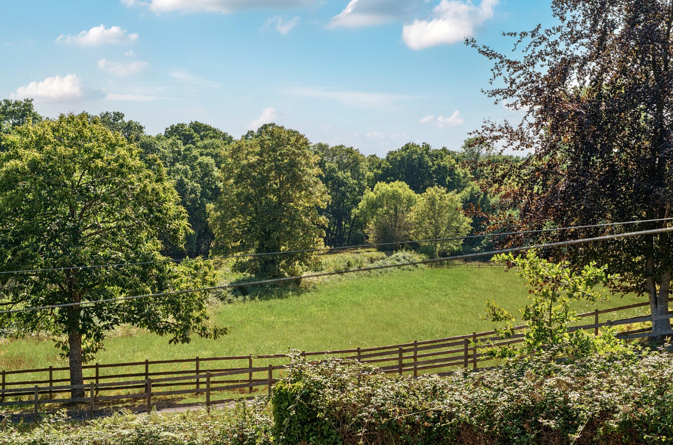 Highwood Lane, Ringwood, BH24, photo 21