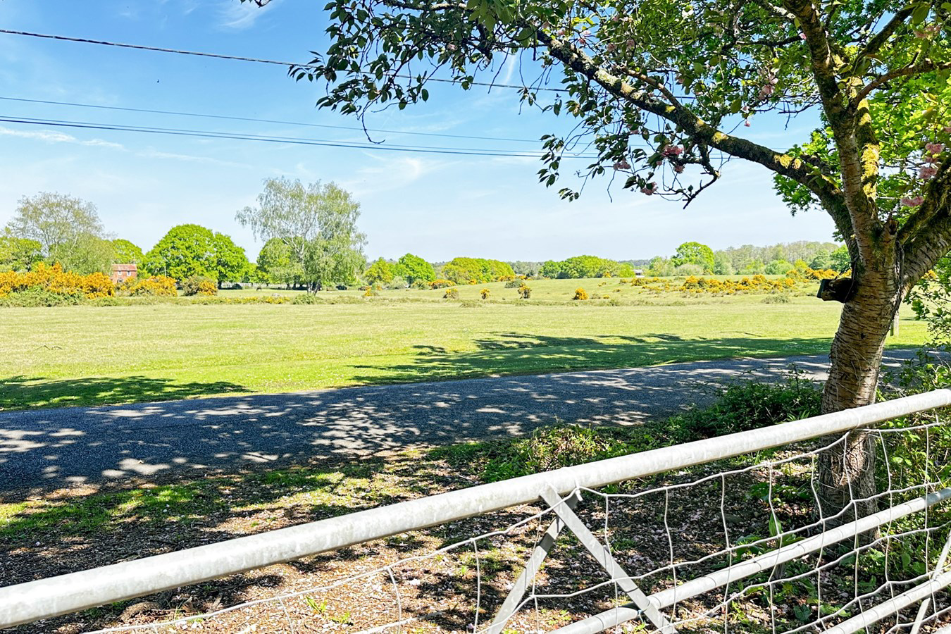 Bramshaw, Lyndhurst, SO43, photo 4