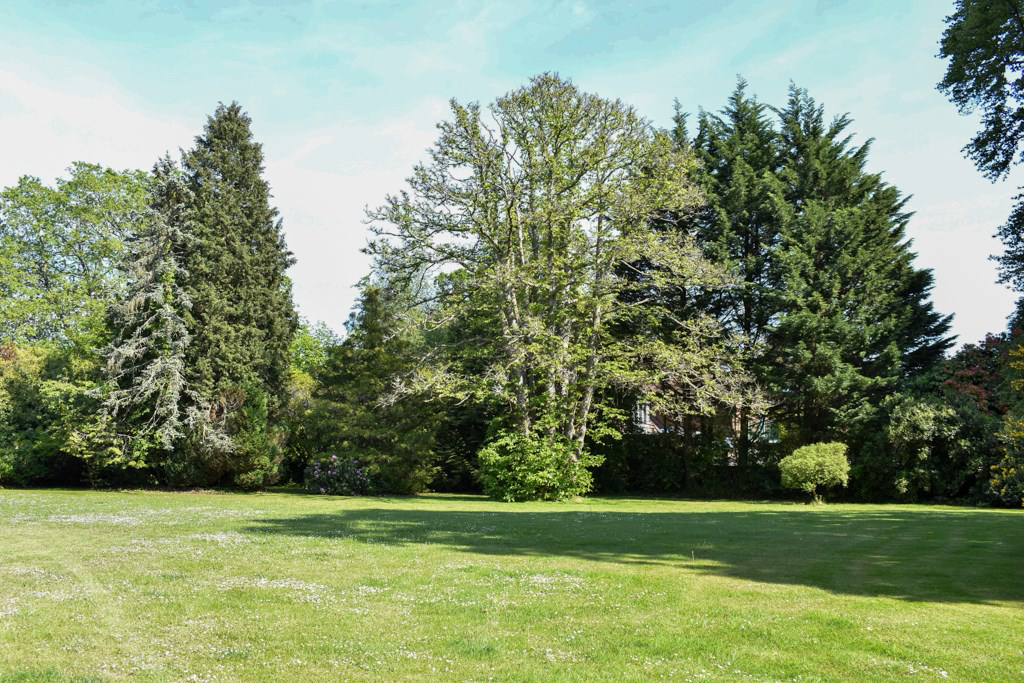 Gardeners Lane, East Wellow, Romsey, SO51, photo 34