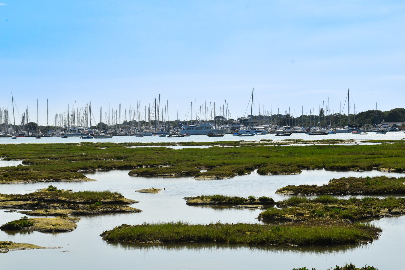 Lisle Court Road, Lymington, SO41, photo 17