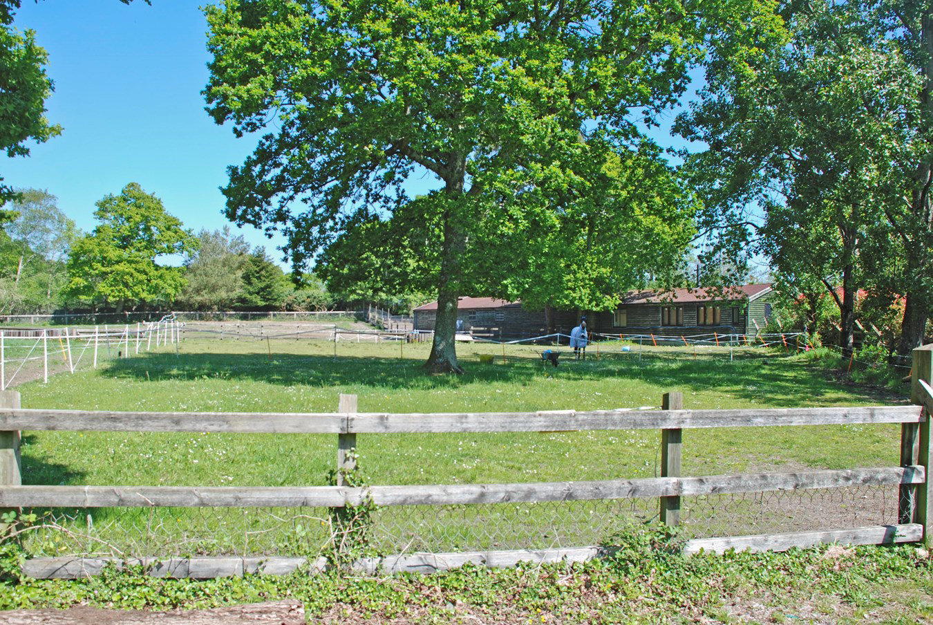 South Drive, Ossemsley, New Milton, BH25, photo 22