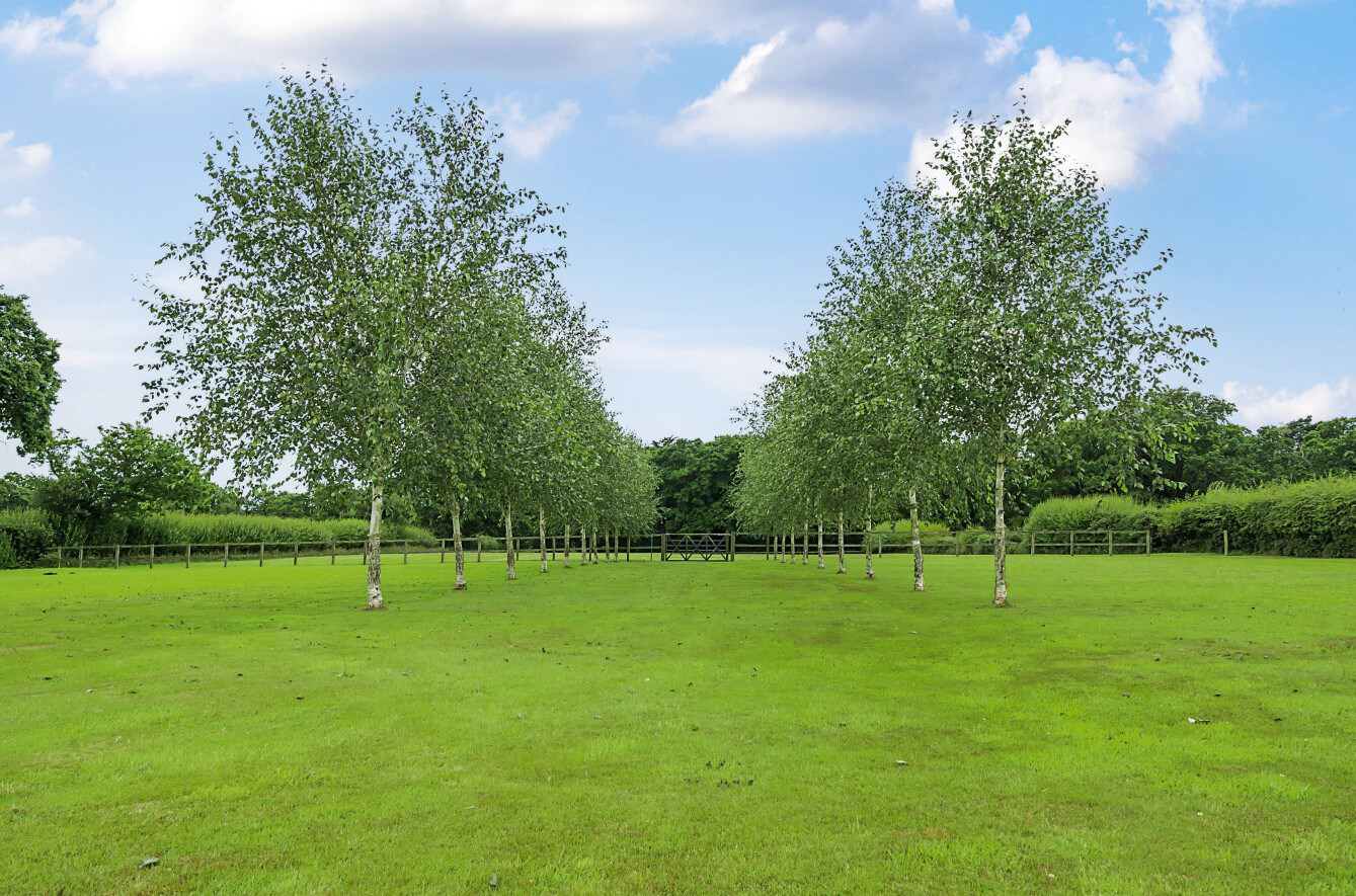 Tiptoe Road, New Milton, BH25, photo 15