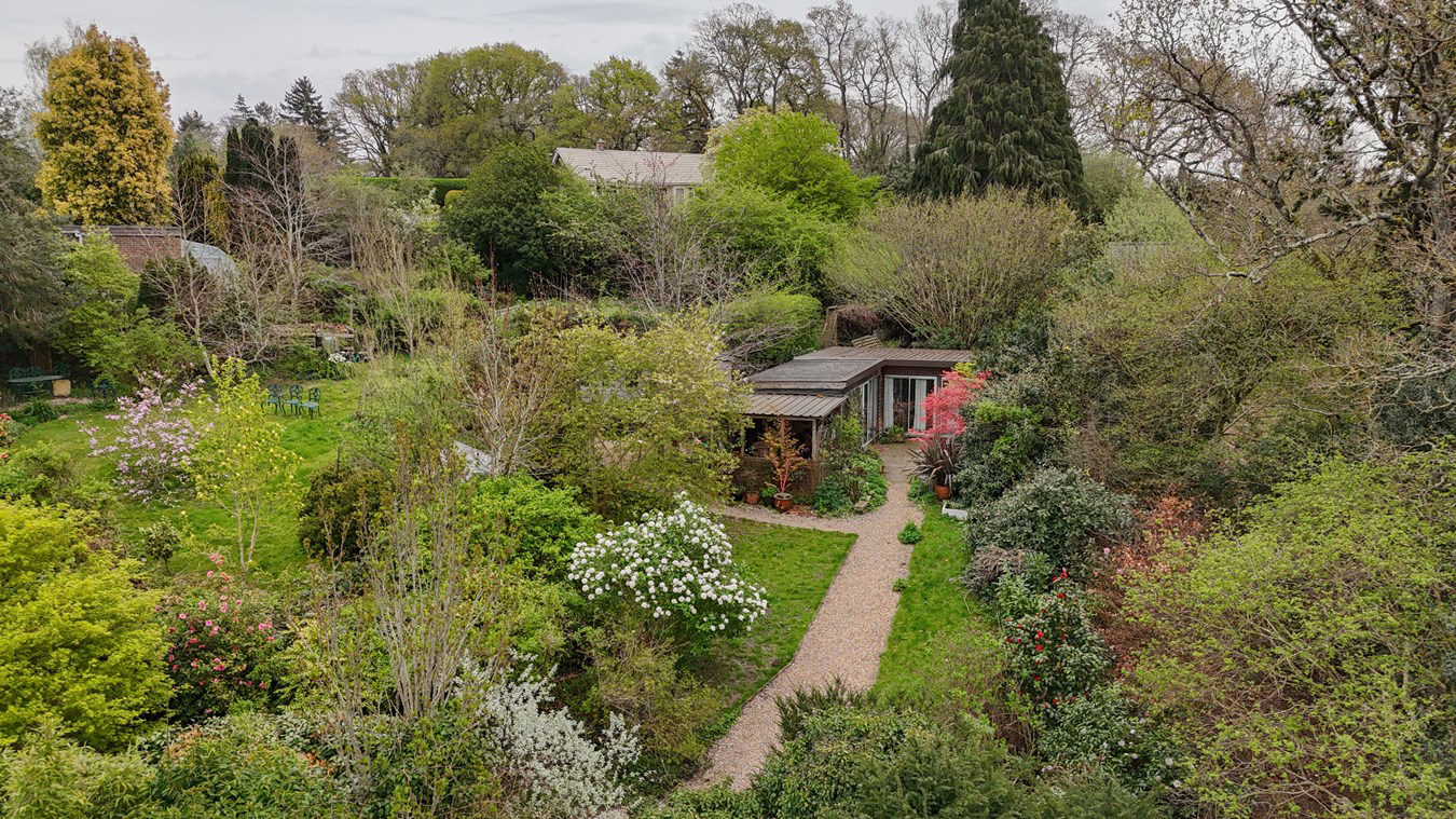 Frogham Hill, Frogham, SP6, photo 14