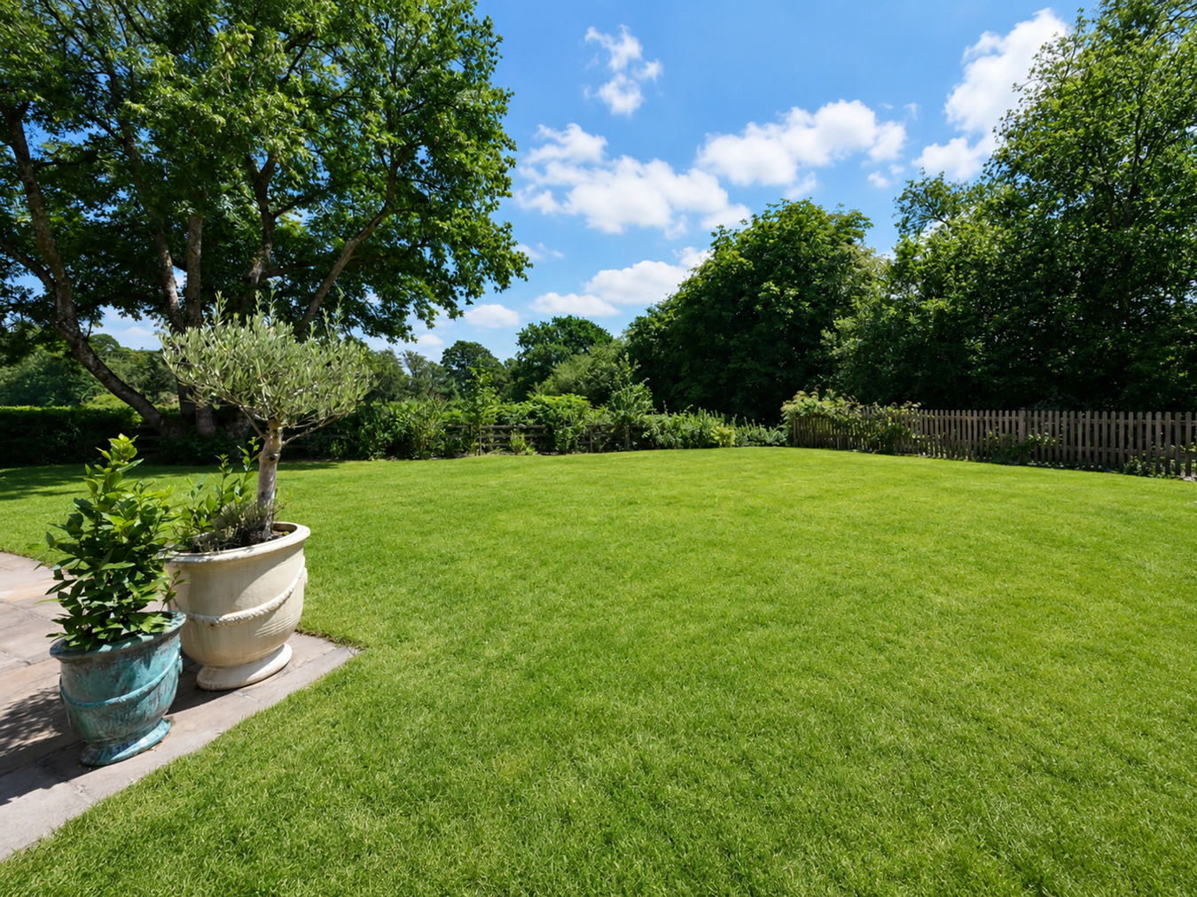 Birch Lane, Sandleheath, Fordingbridge, SP6, photo 18