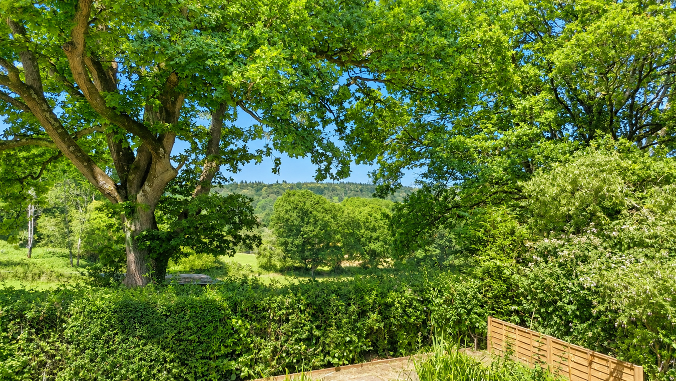 Purlieu Lane, Godshill, Fordingbridge, SP6, photo 17