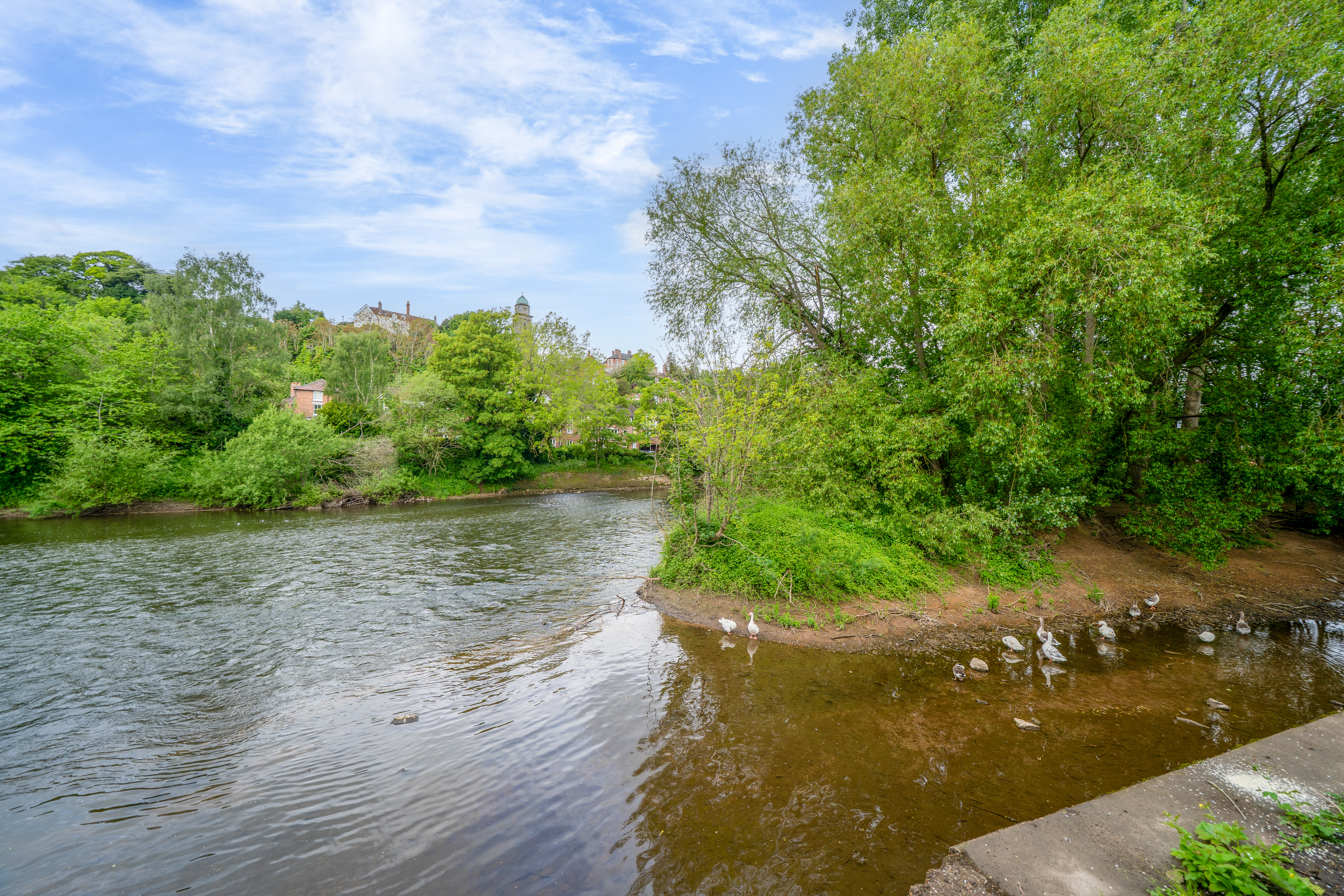 Pale Meadow Road, Bridgnorth, WV15, photo 24