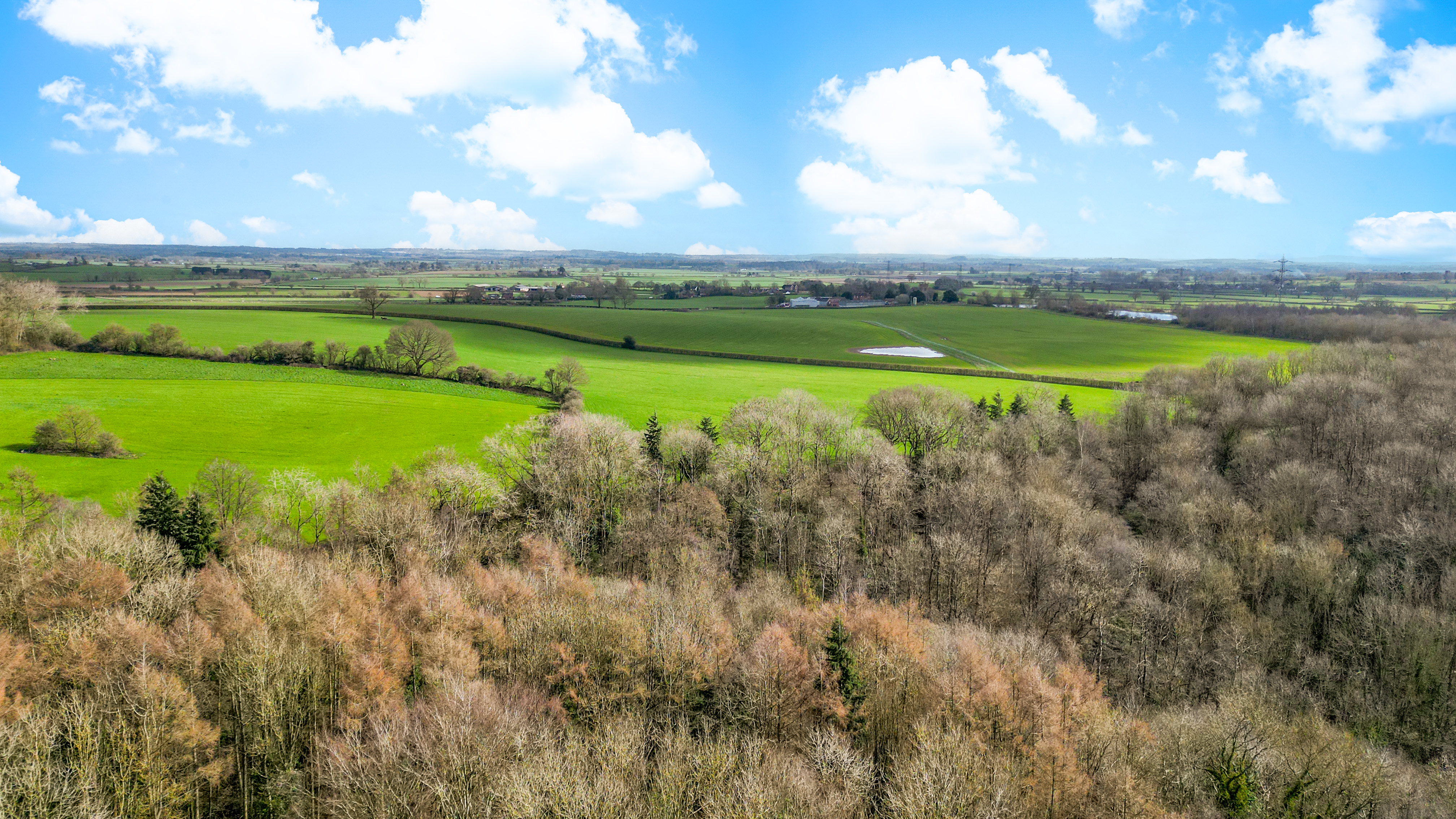 Sutton Wood, Shifnal, TF11, photo 27