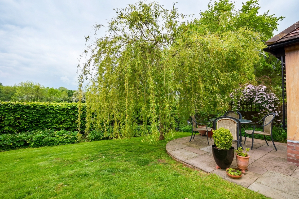 Church Road, Brimfield, SY8, photo 22