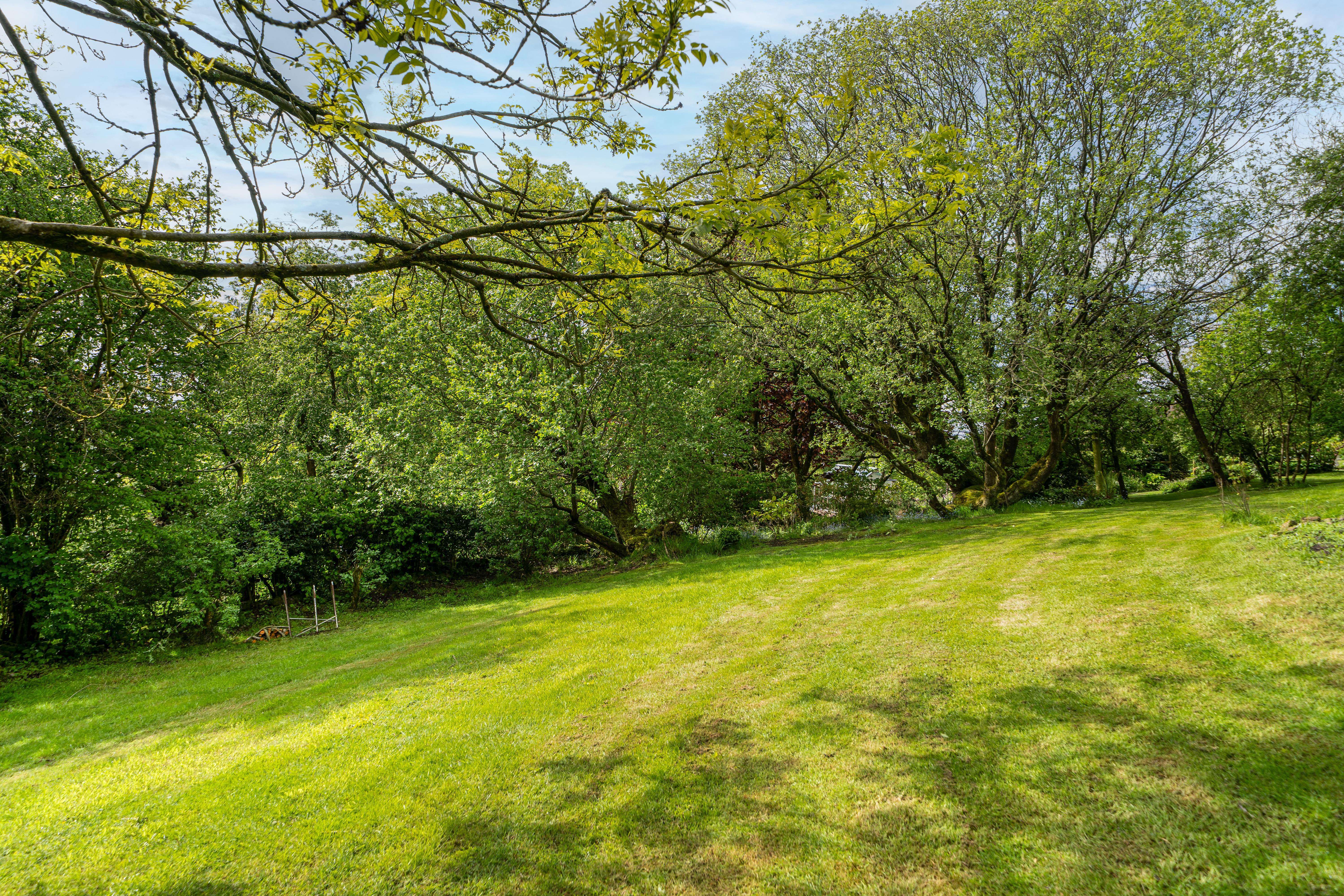 Hopton Bank, Hopton Wafers, DY14, photo 33