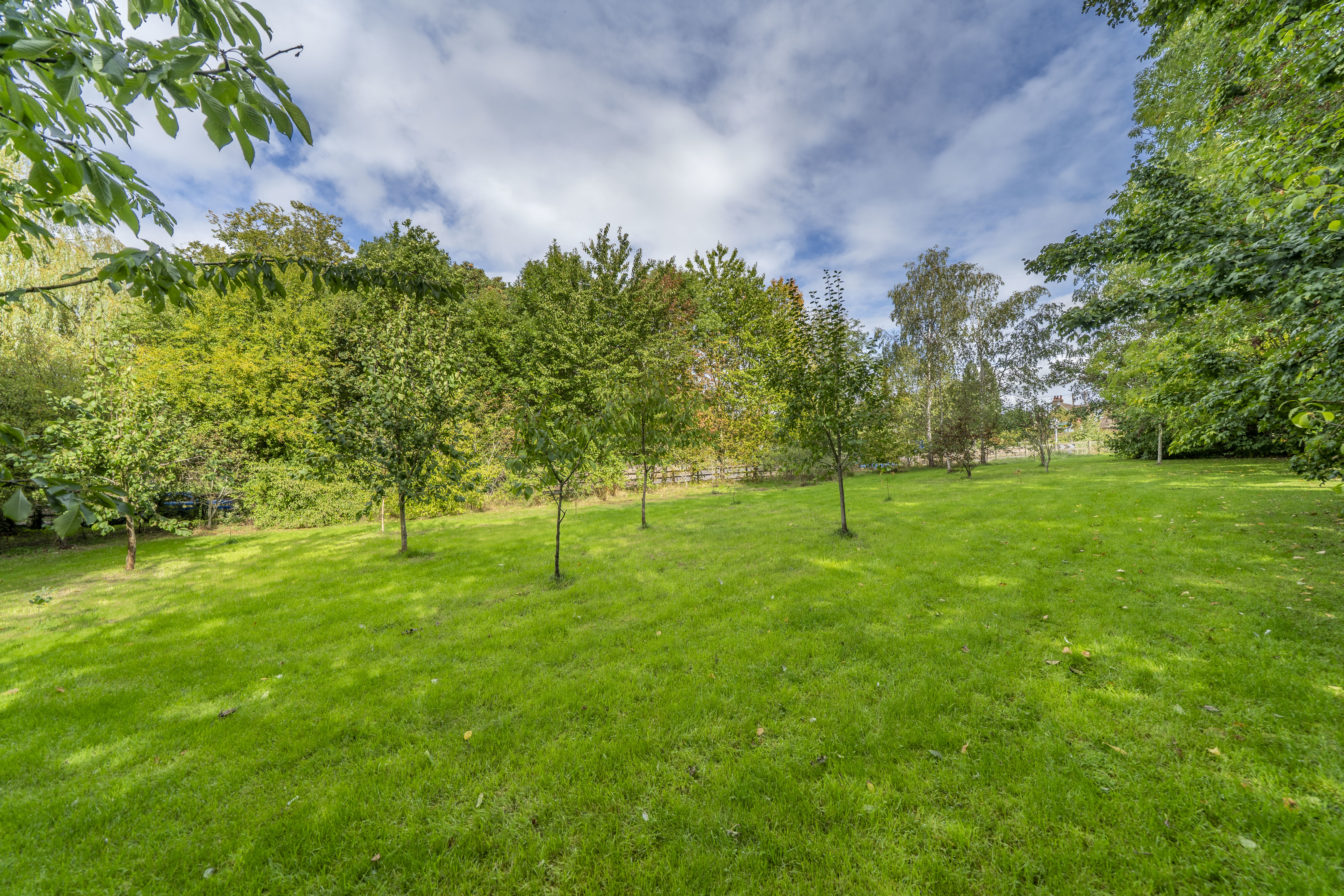 Harley Road, Cressage, SY5, photo 33