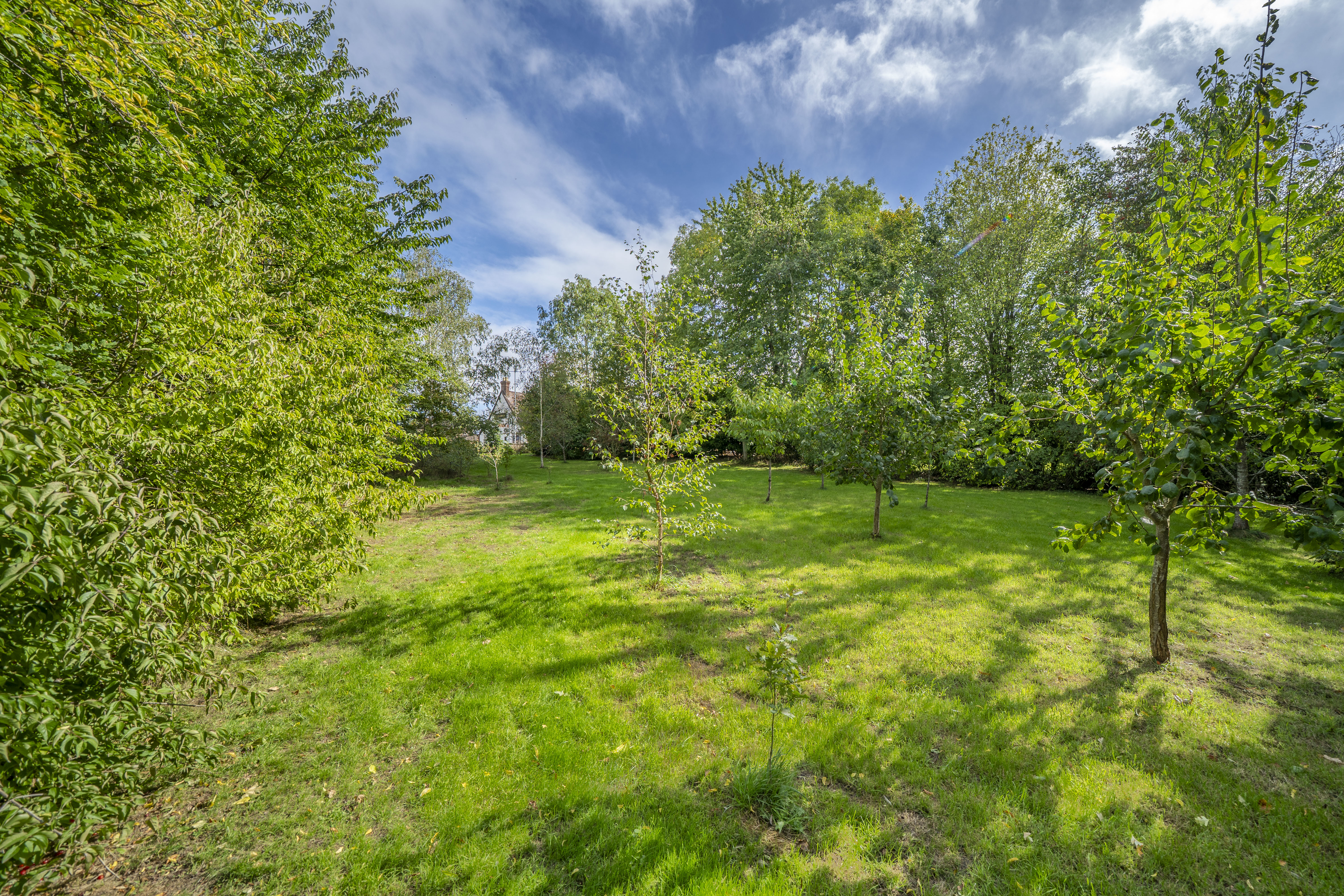 Harley Road, Cressage, SY5, photo 34