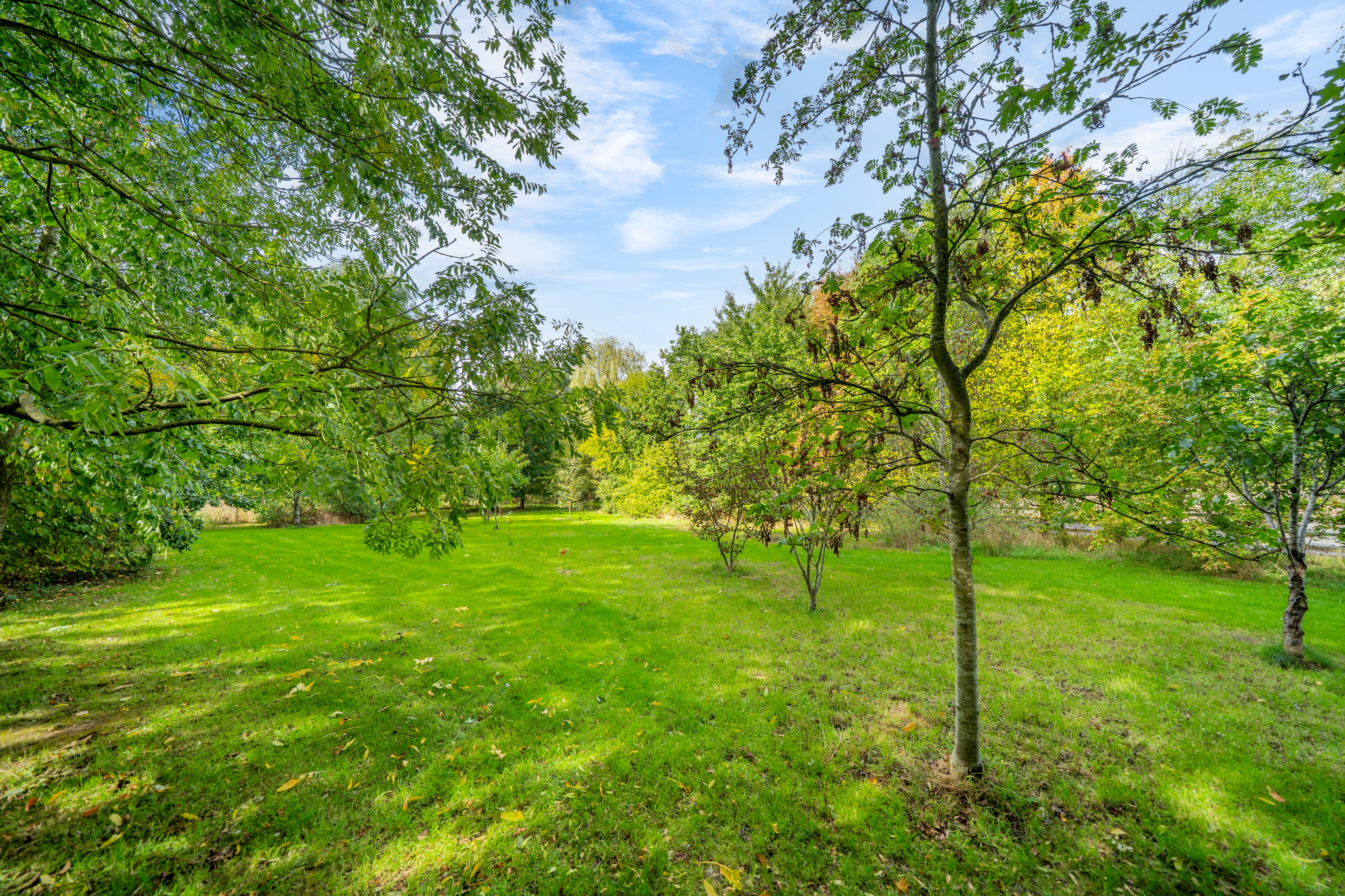 Harley Road, Cressage, SY5, photo 31