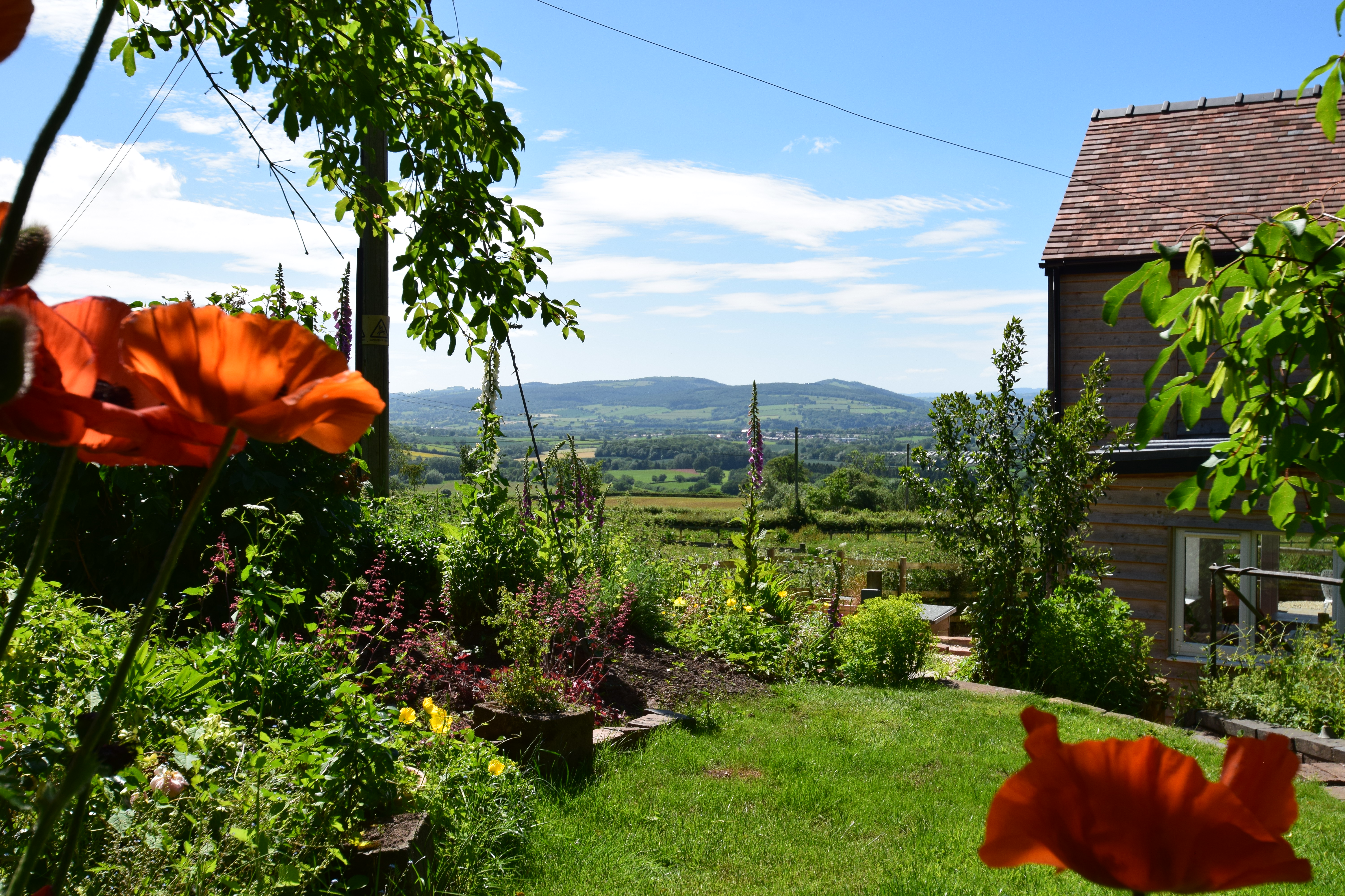 Snitton, Ludlow, SY8, photo 21