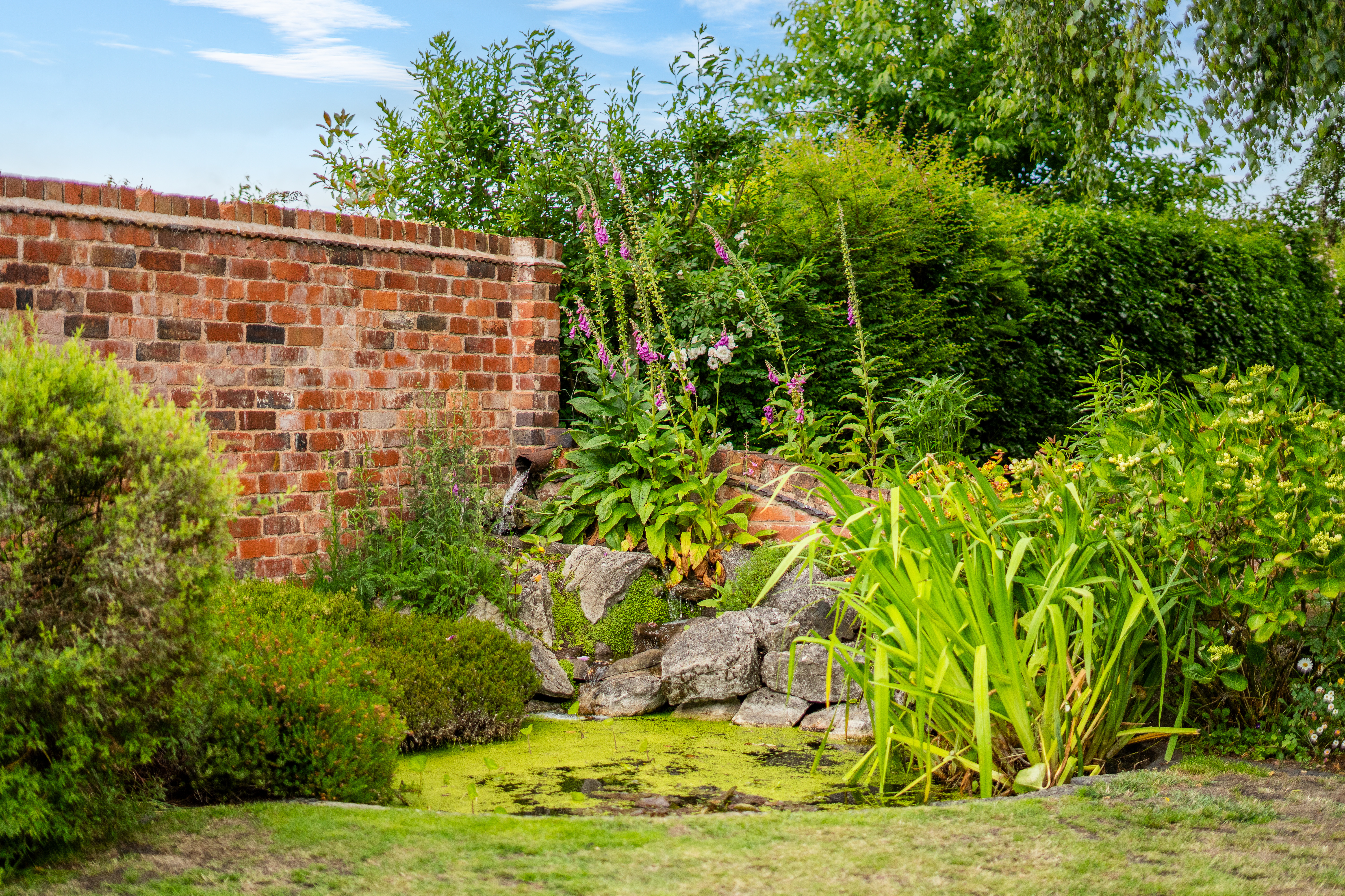 The Barn House, Beckbury, Shropshire, TF11, photo 26