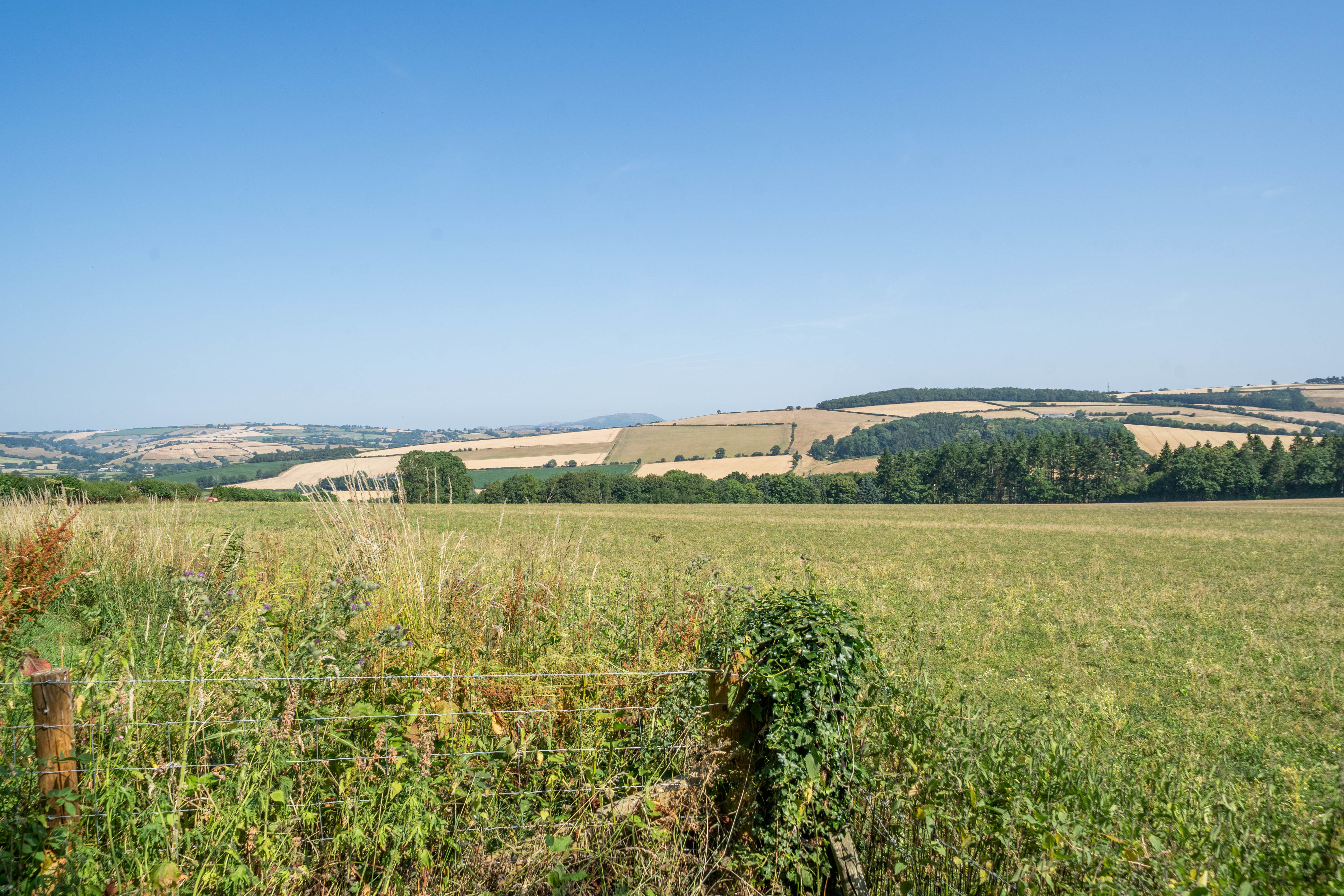 Lower Down, Lydbury North, SY7, photo 28