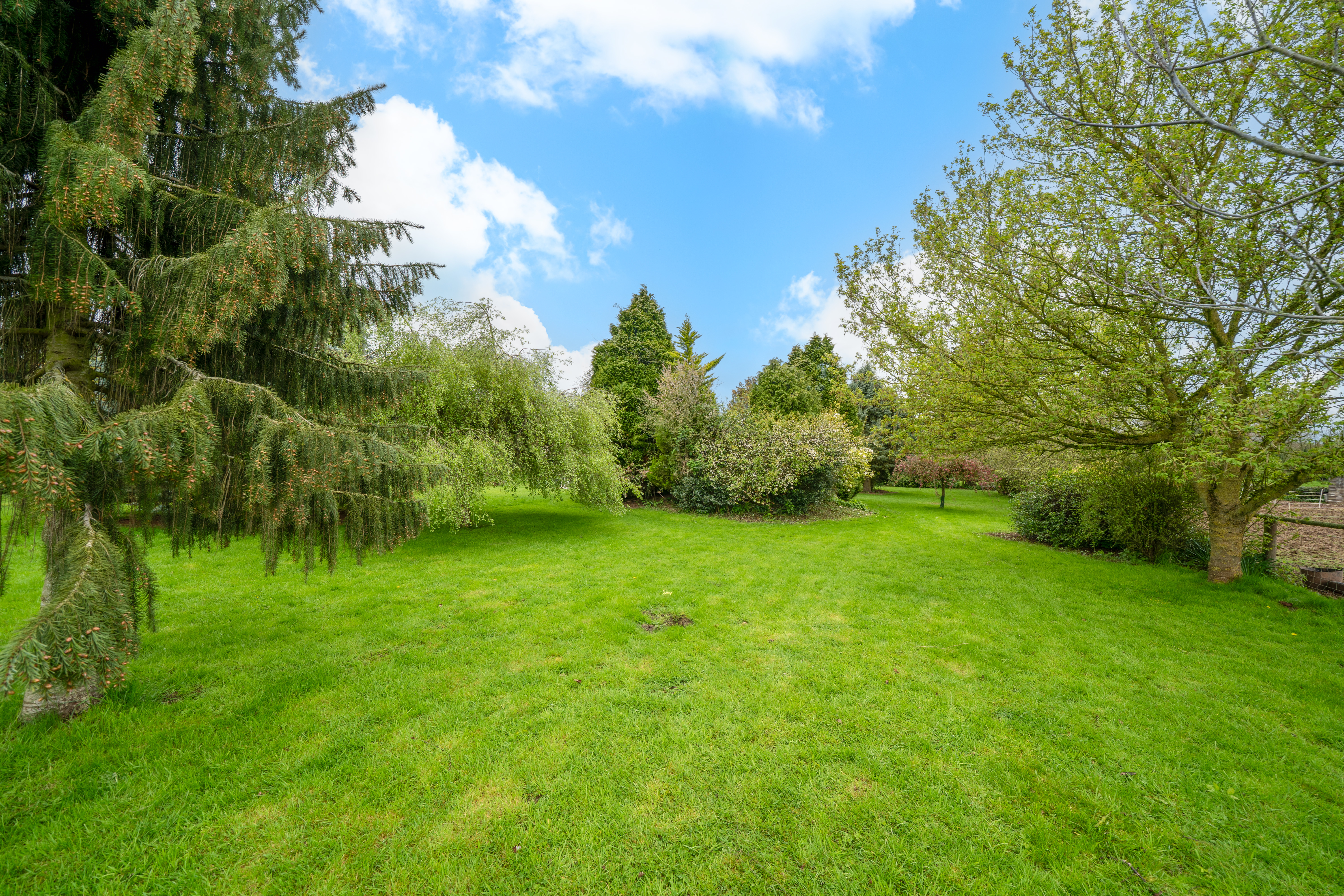 School Lane, Brimfield, SY8, photo 16