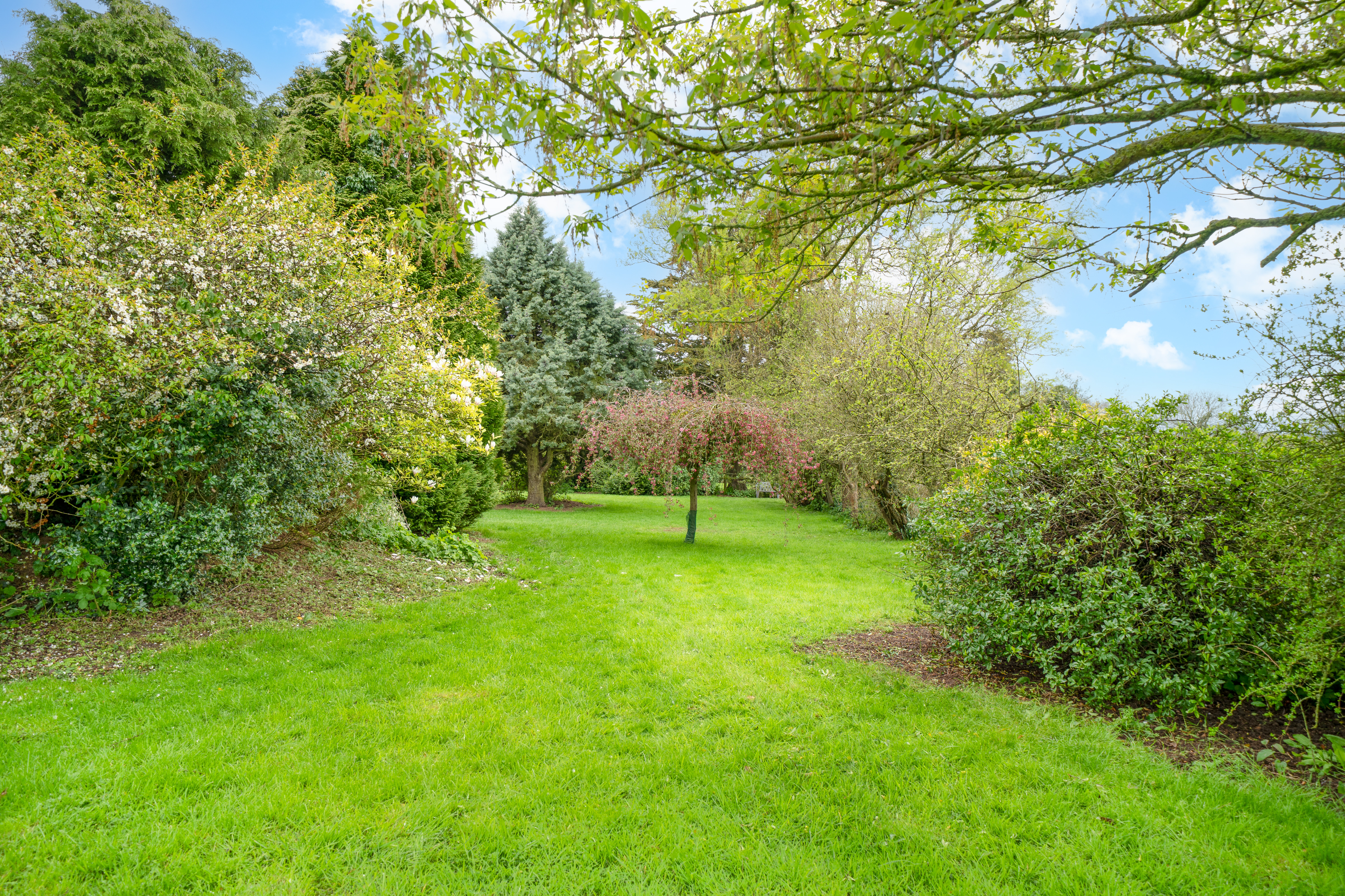 School Lane, Brimfield, SY8, photo 19