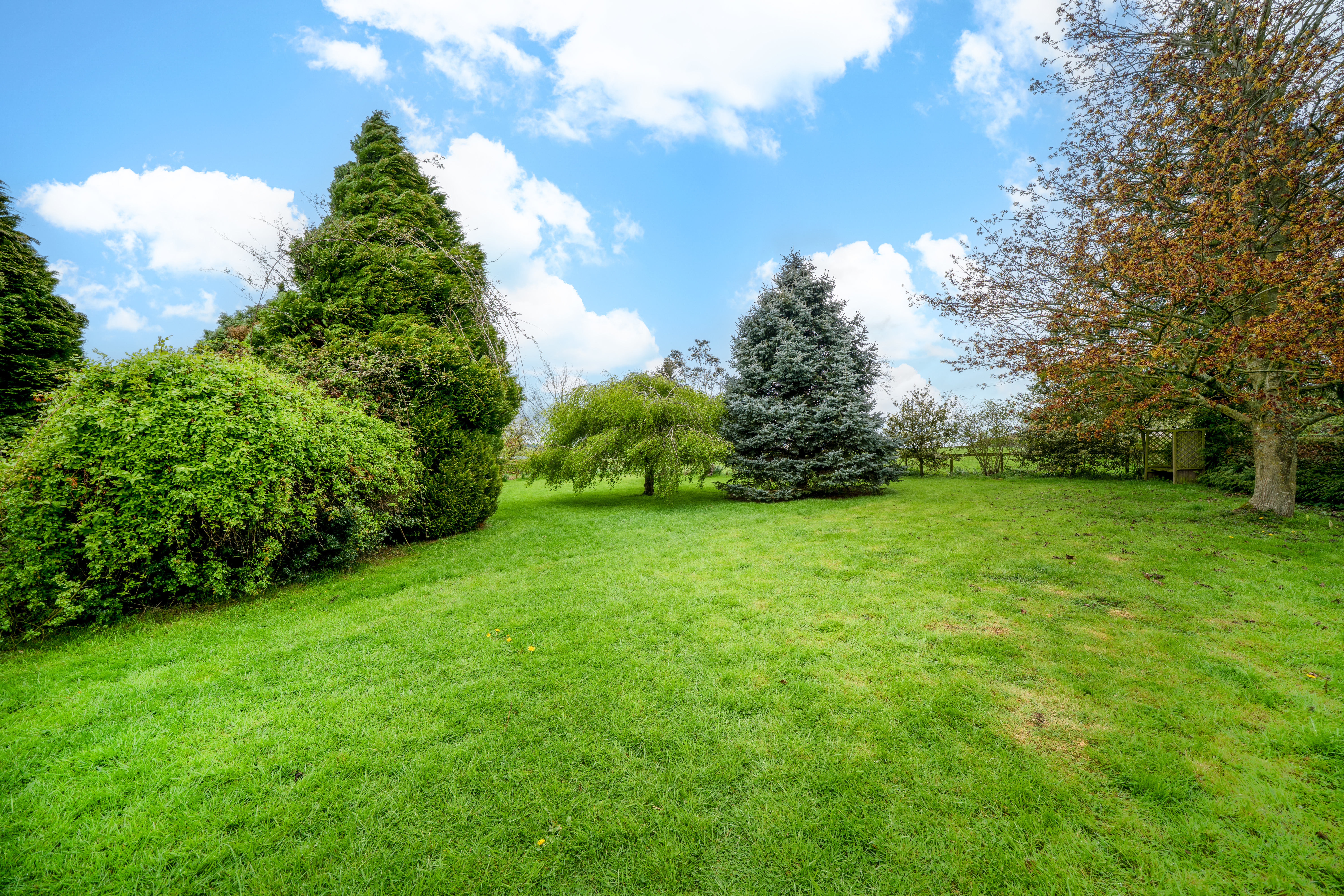 School Lane, Brimfield, SY8, photo 20