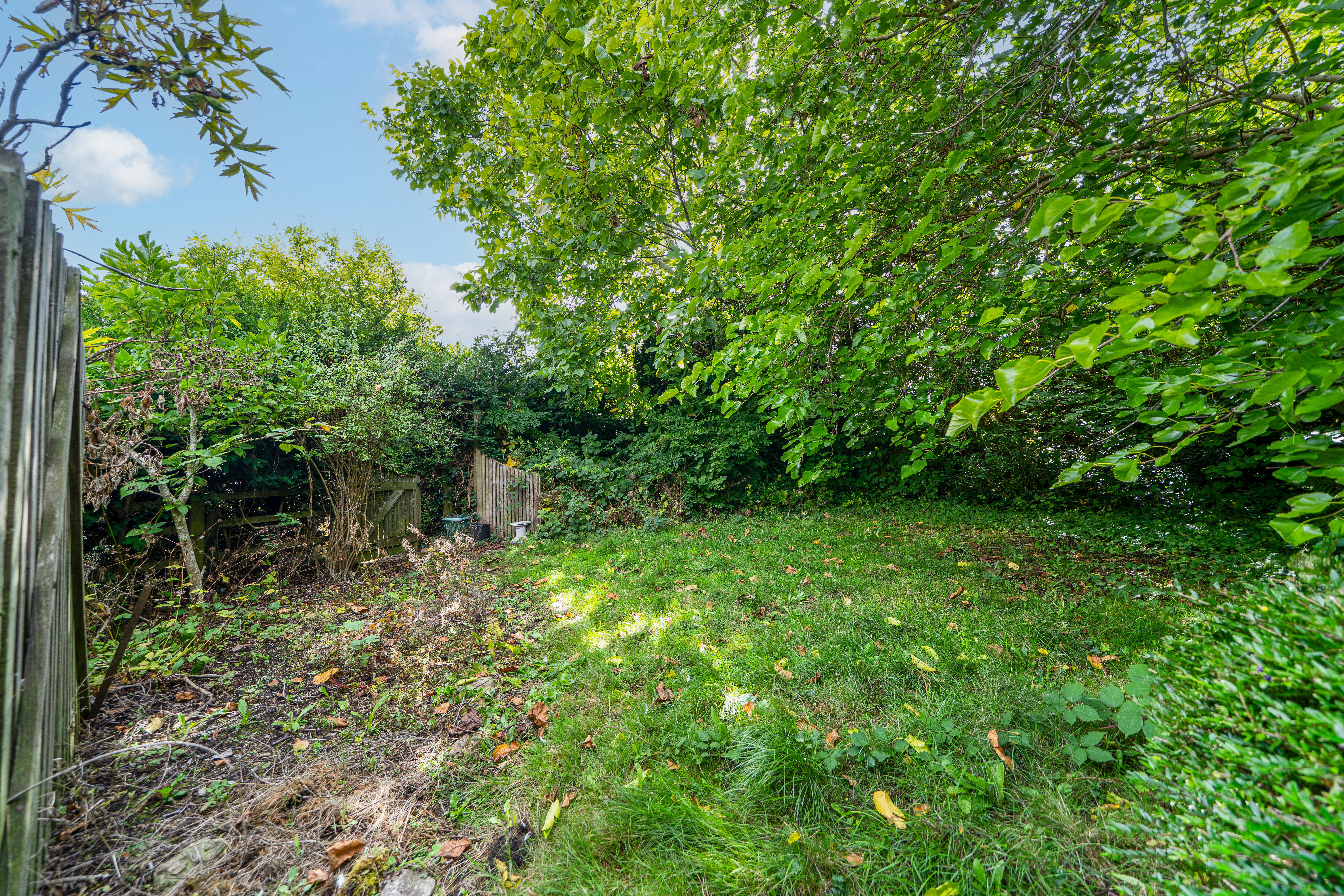 Lower Street, Cleobury Mortimer, DY14, photo 4