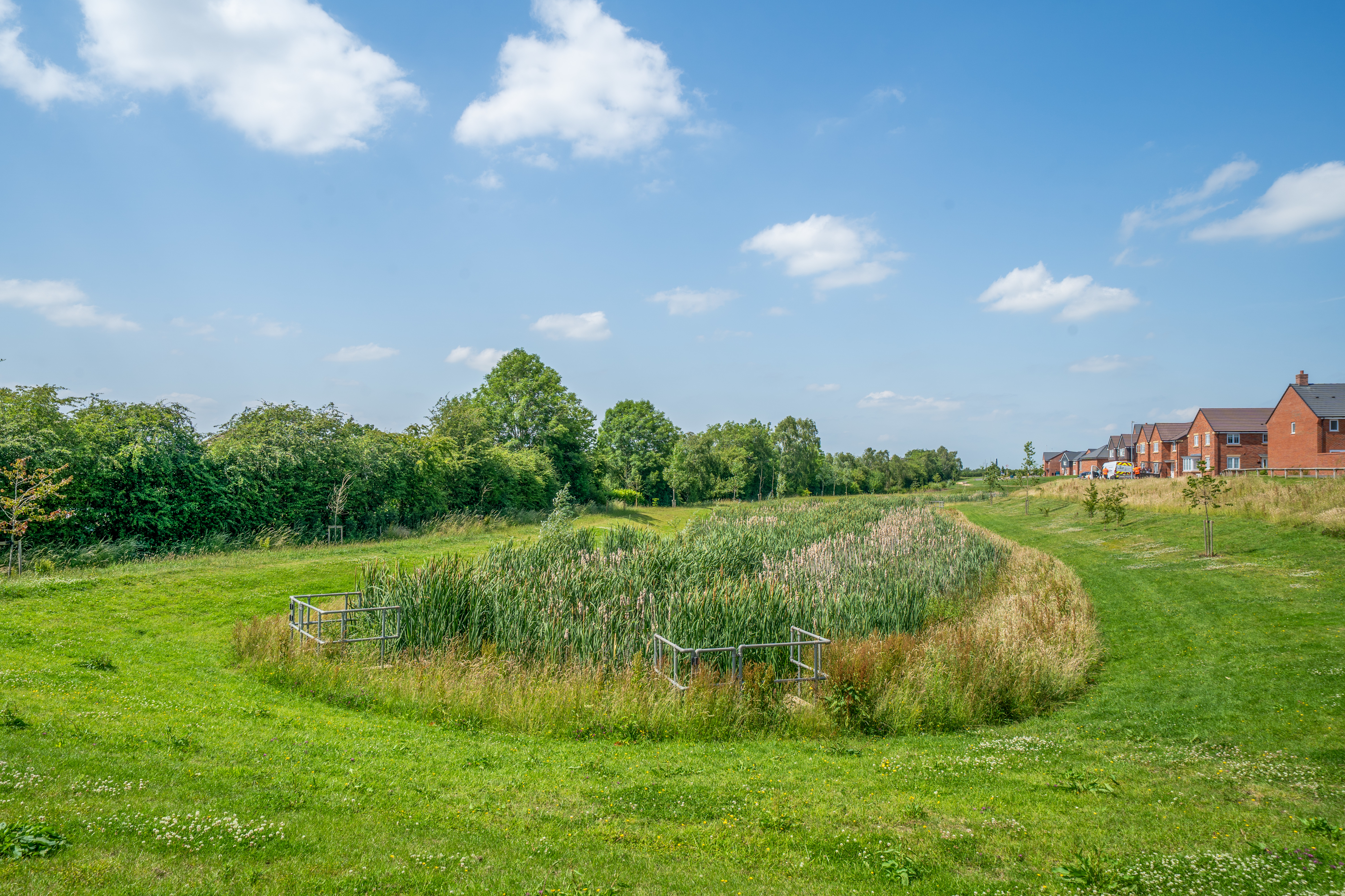William Barber Meadow, Priorslee, TF2, photo 32