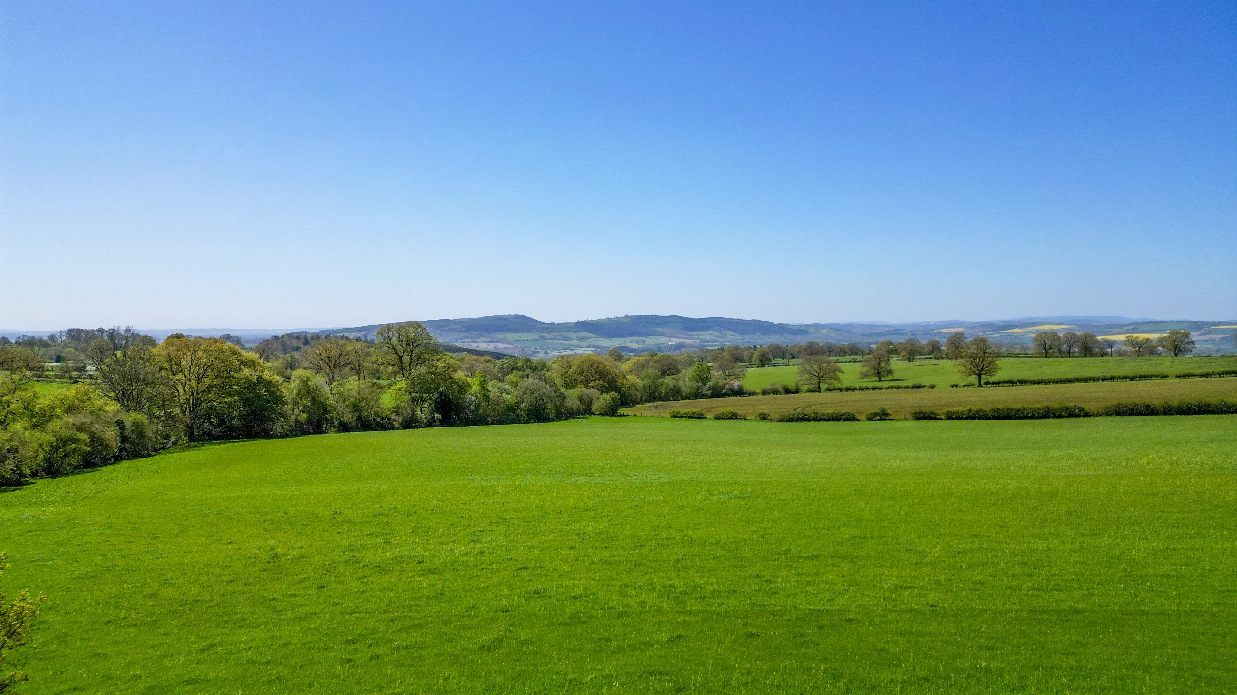 Haytons Bent, Ludlow, SY8, photo 2