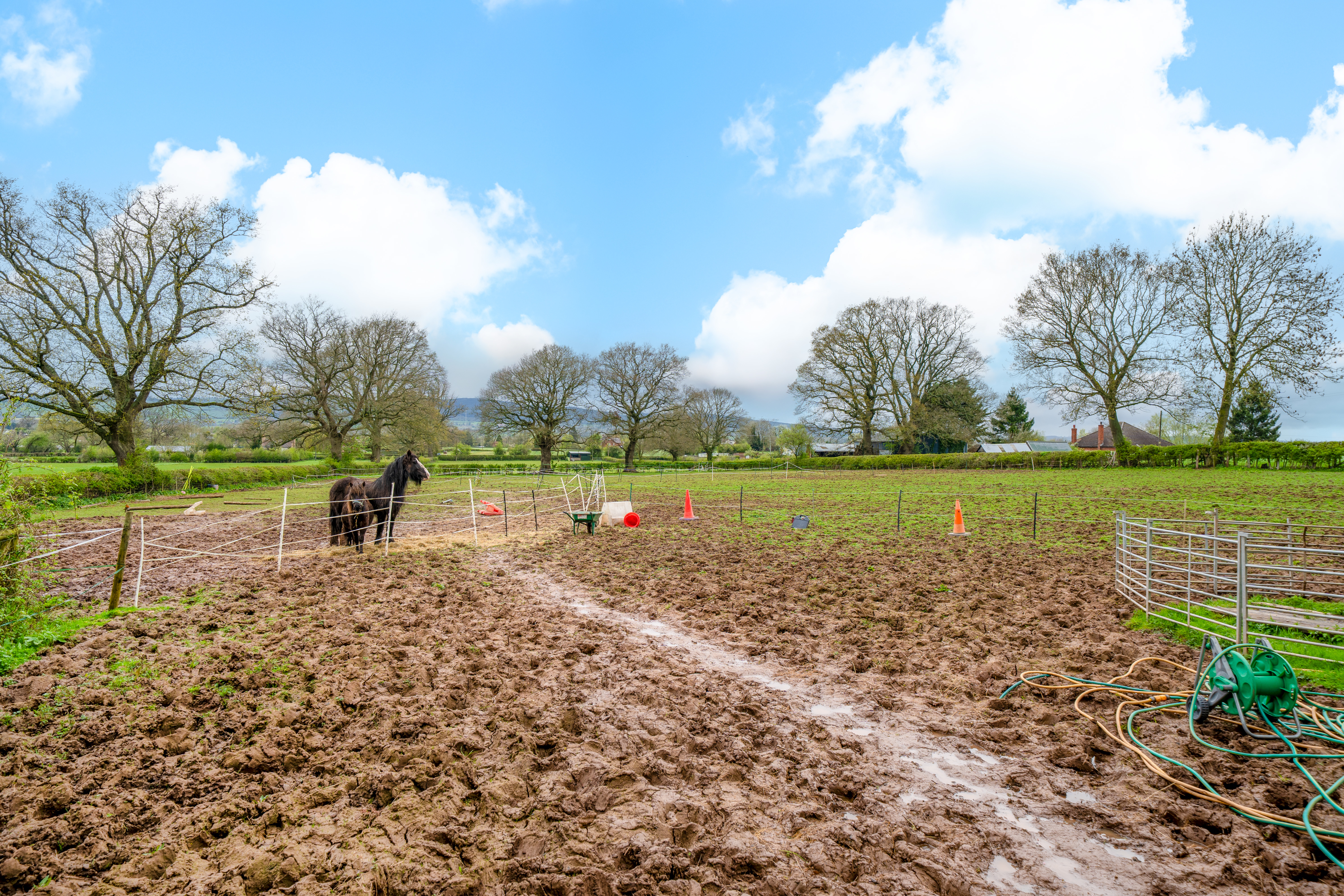 School Lane, Brimfield, SY8, photo 24